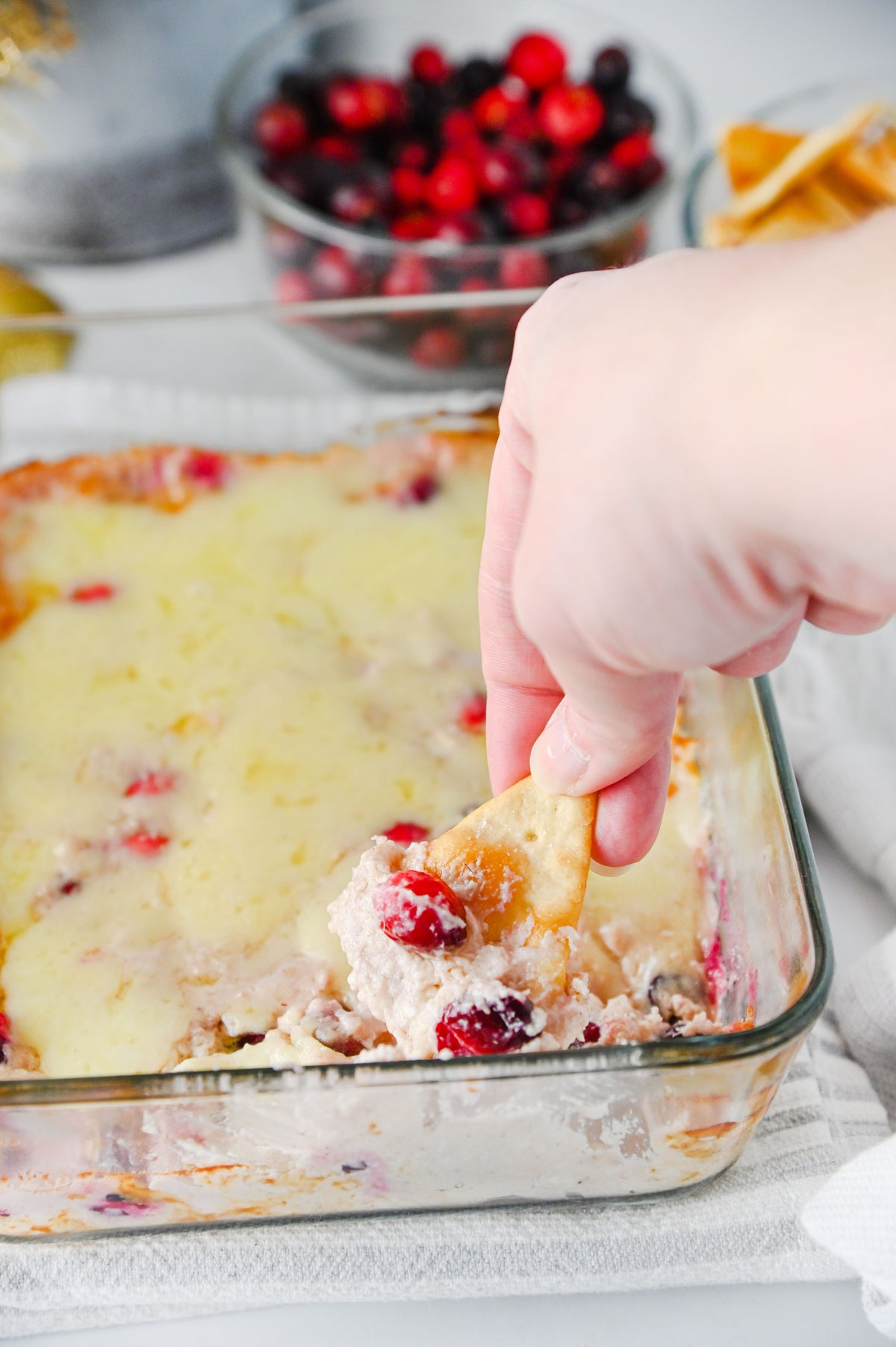 White Cheddar Cranberry Dip Set #2