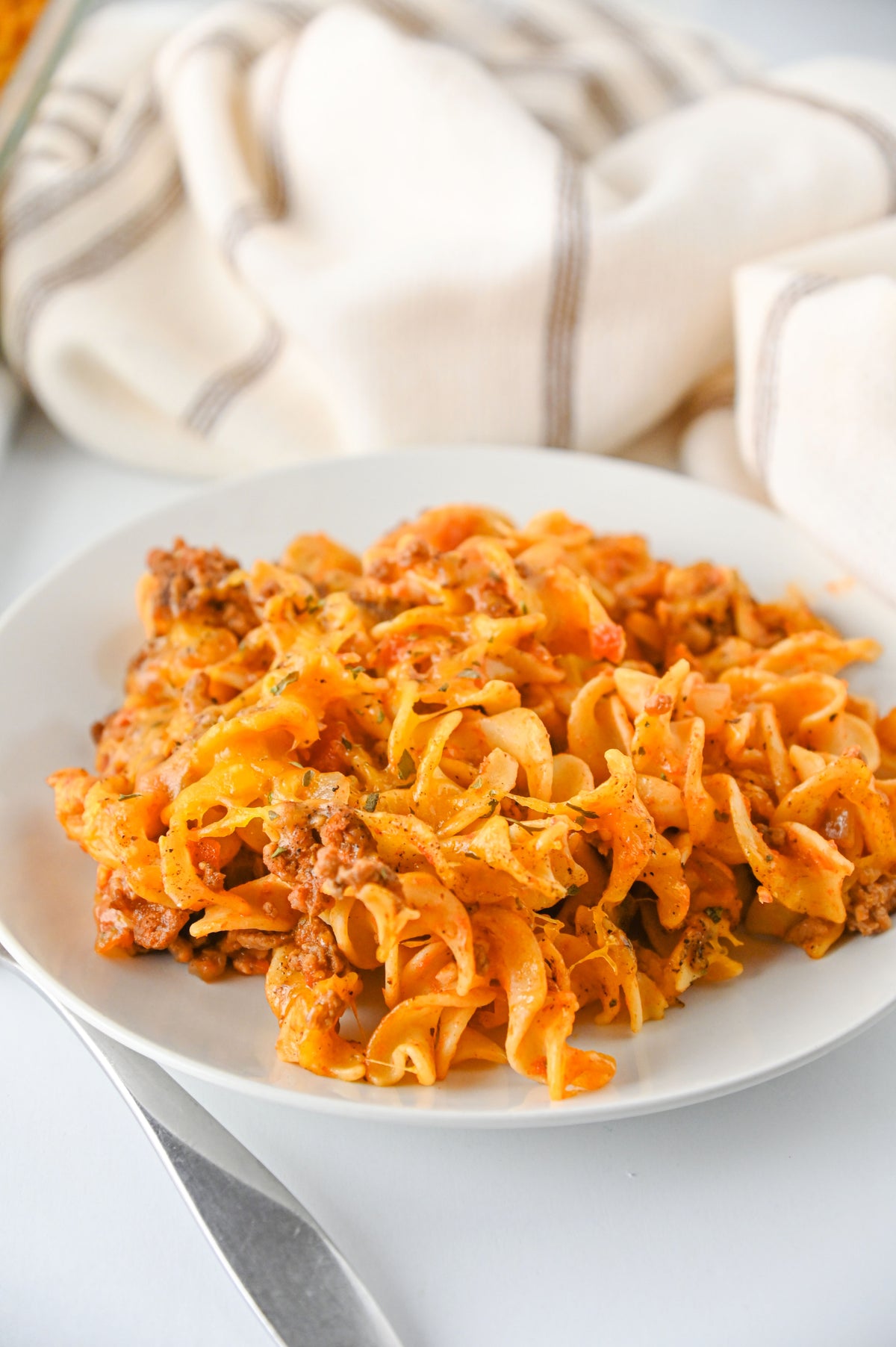Beef Noodle Casserole Set #3