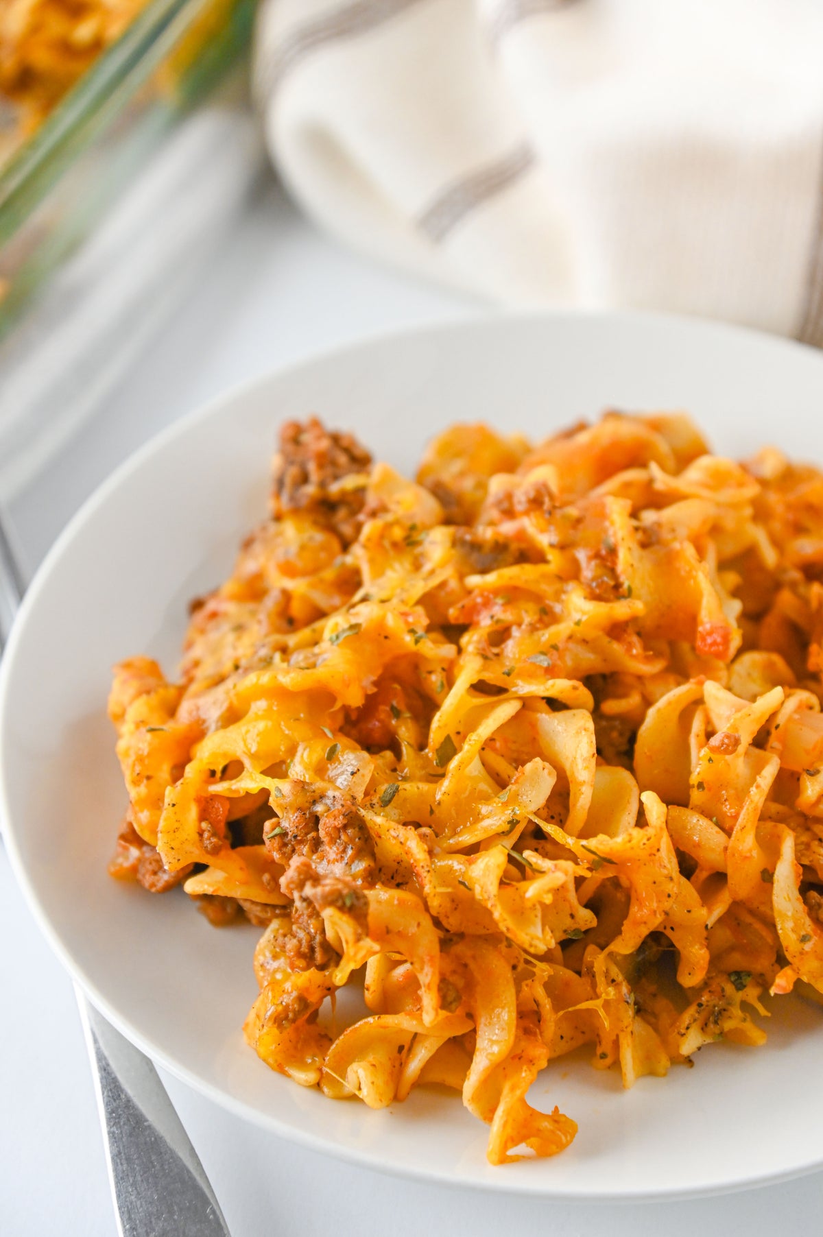 Beef Noodle Casserole Set #3