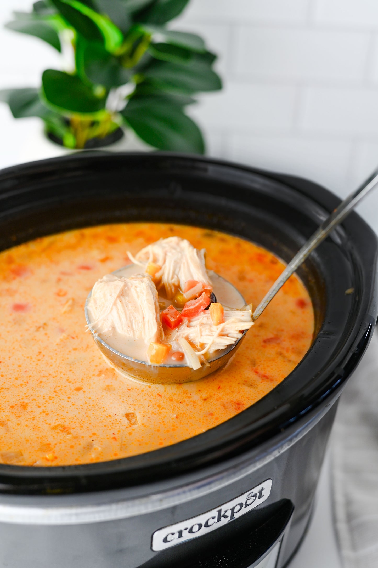 Slow Cooker Chicken Tortilla Soup Set #3