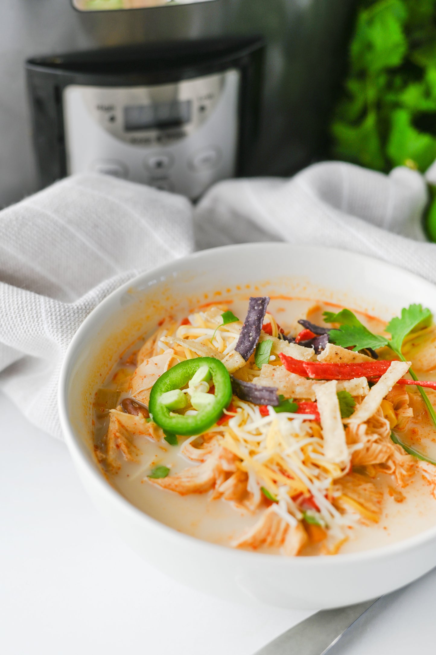 Slow Cooker Chicken Tortilla Soup Set #3