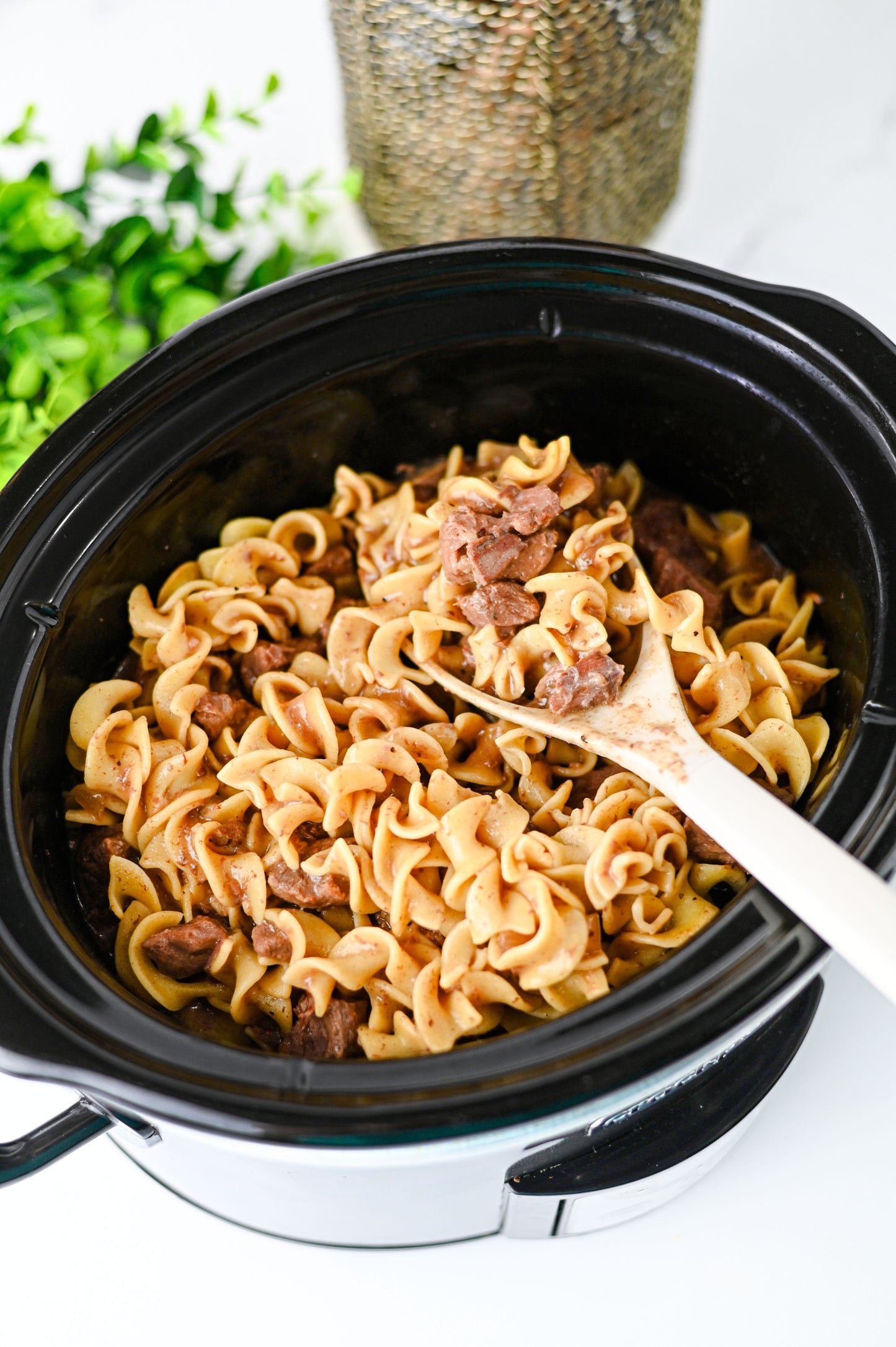 Crock Pot Beef and Noodles Set #3