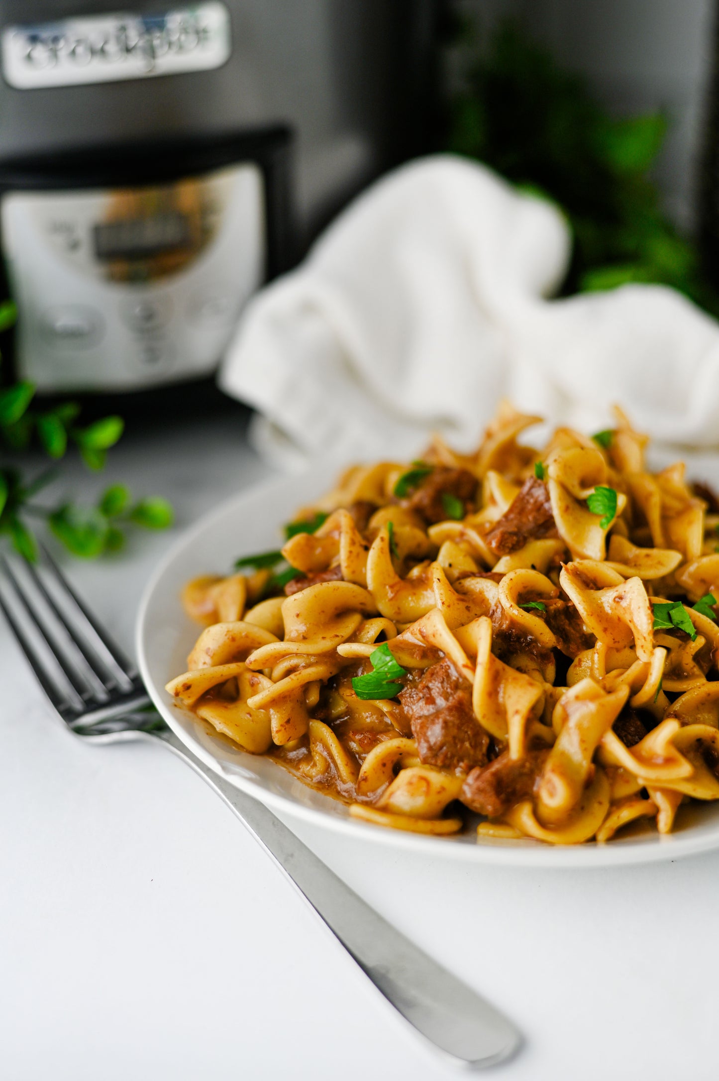 Crock Pot Beef and Noodles Set #3