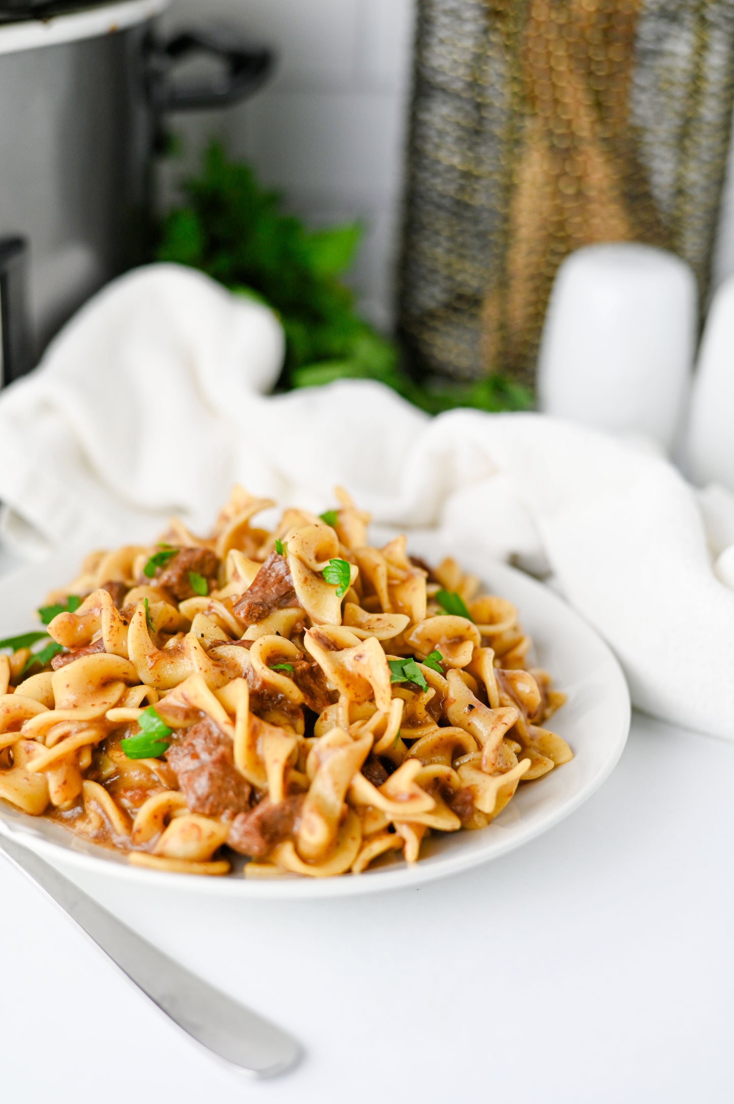 Crock Pot Beef and Noodles Set #3