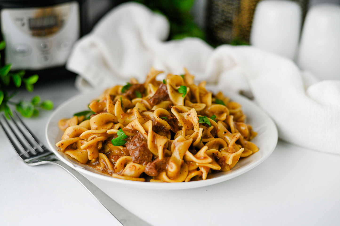 Crock Pot Beef and Noodles Set #3
