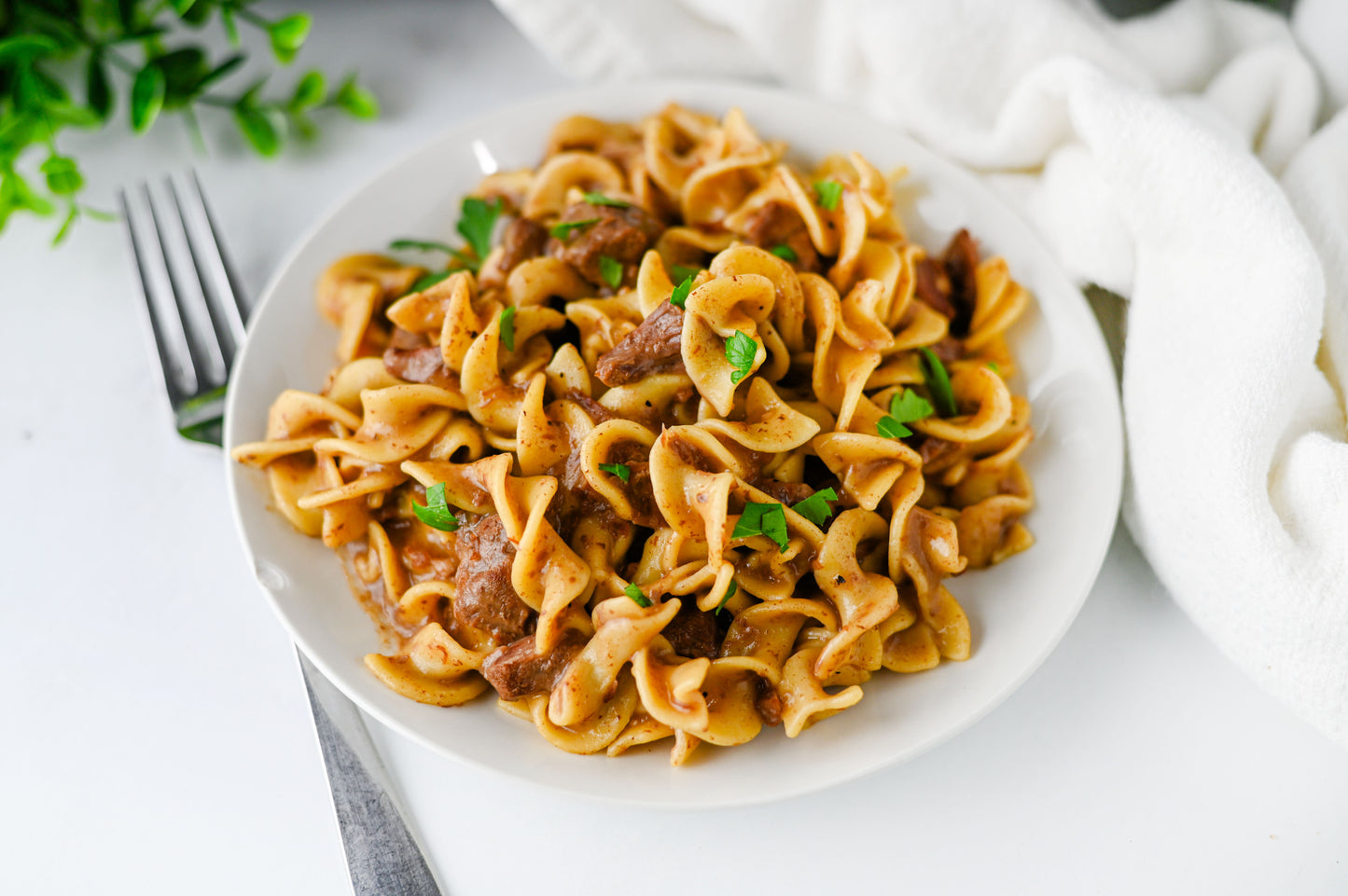 Crock Pot Beef and Noodles Set #3