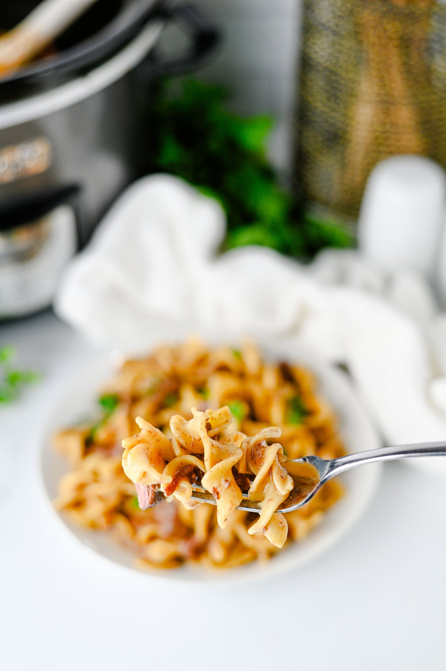 Crock Pot Beef and Noodles Set #3