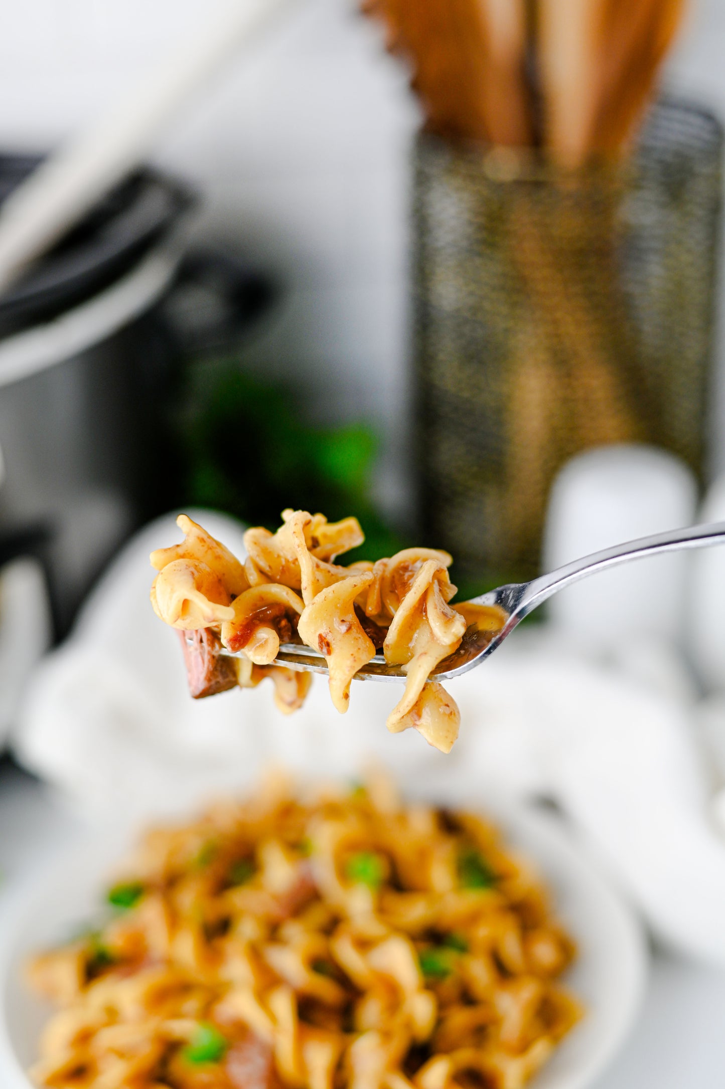 Crock Pot Beef and Noodles Set #3