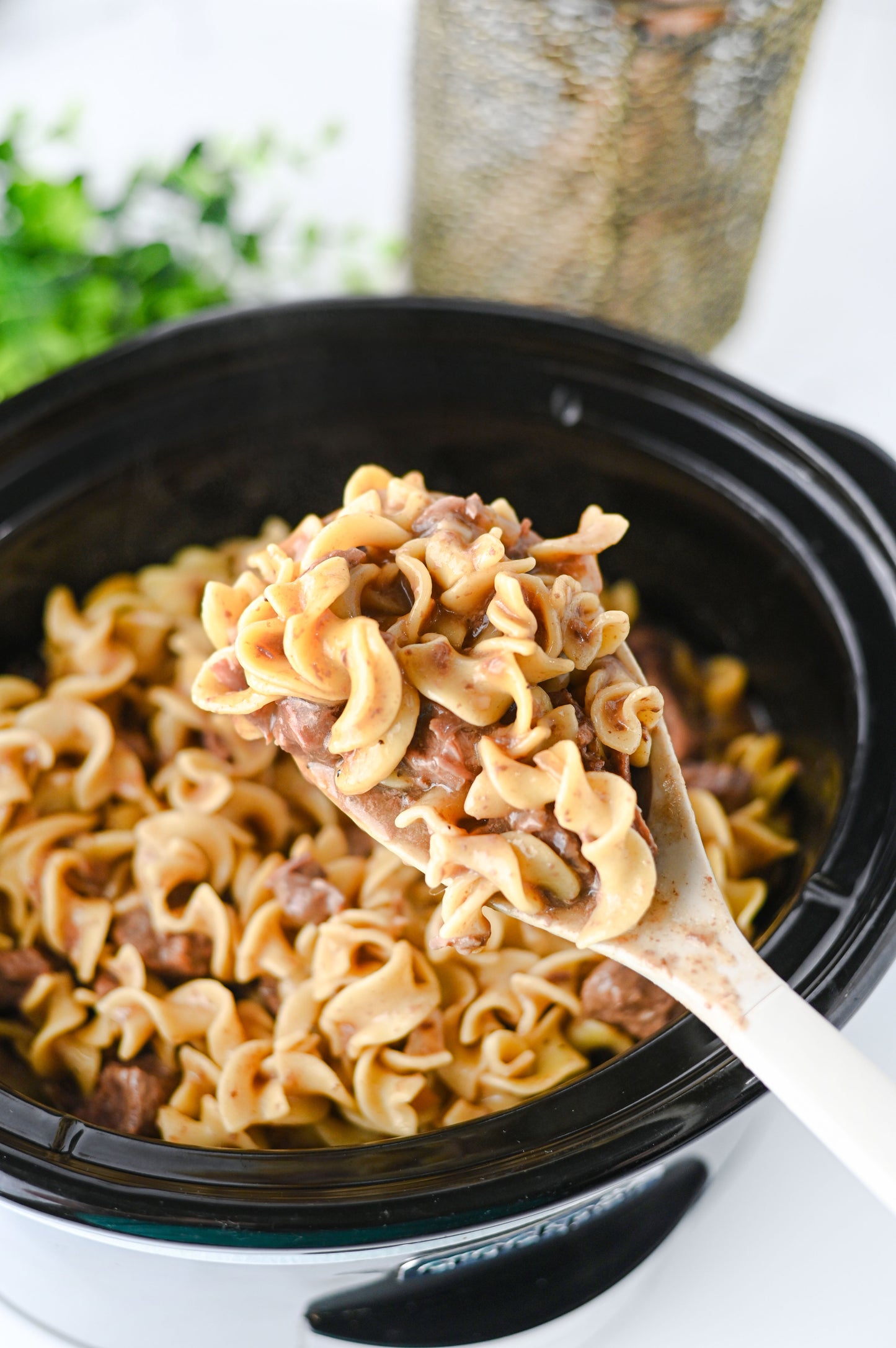 Crock Pot Beef and Noodles Set #3