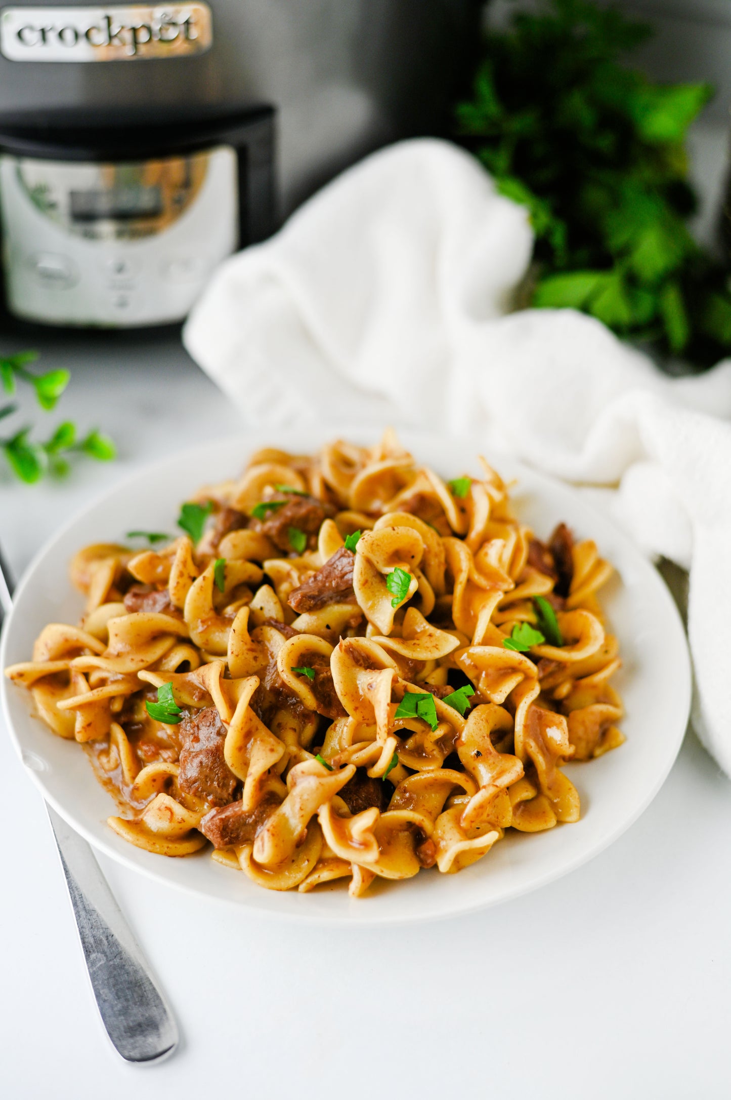 Crock Pot Beef and Noodles Set #3