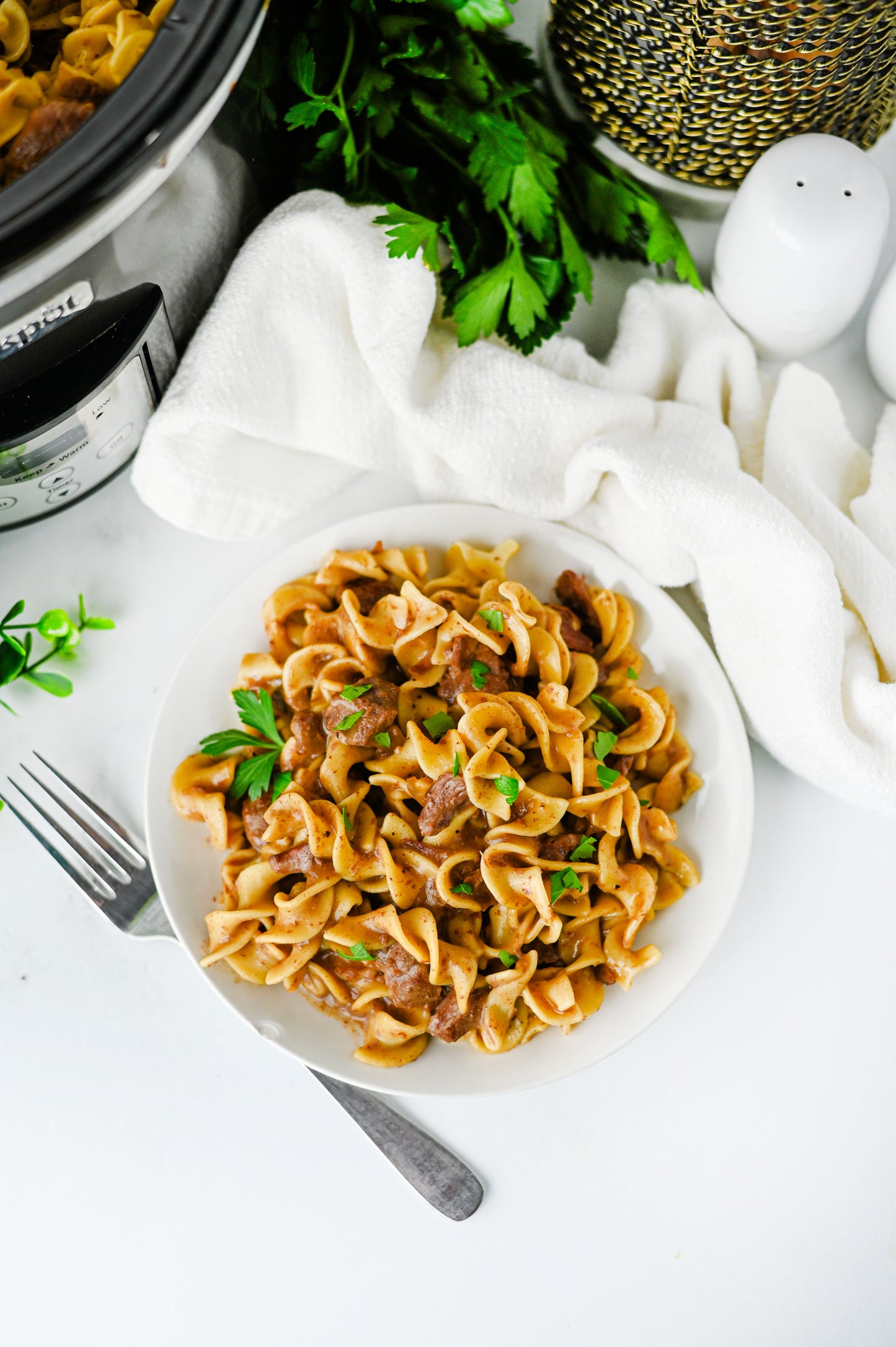 Crock Pot Beef and Noodles Set #3