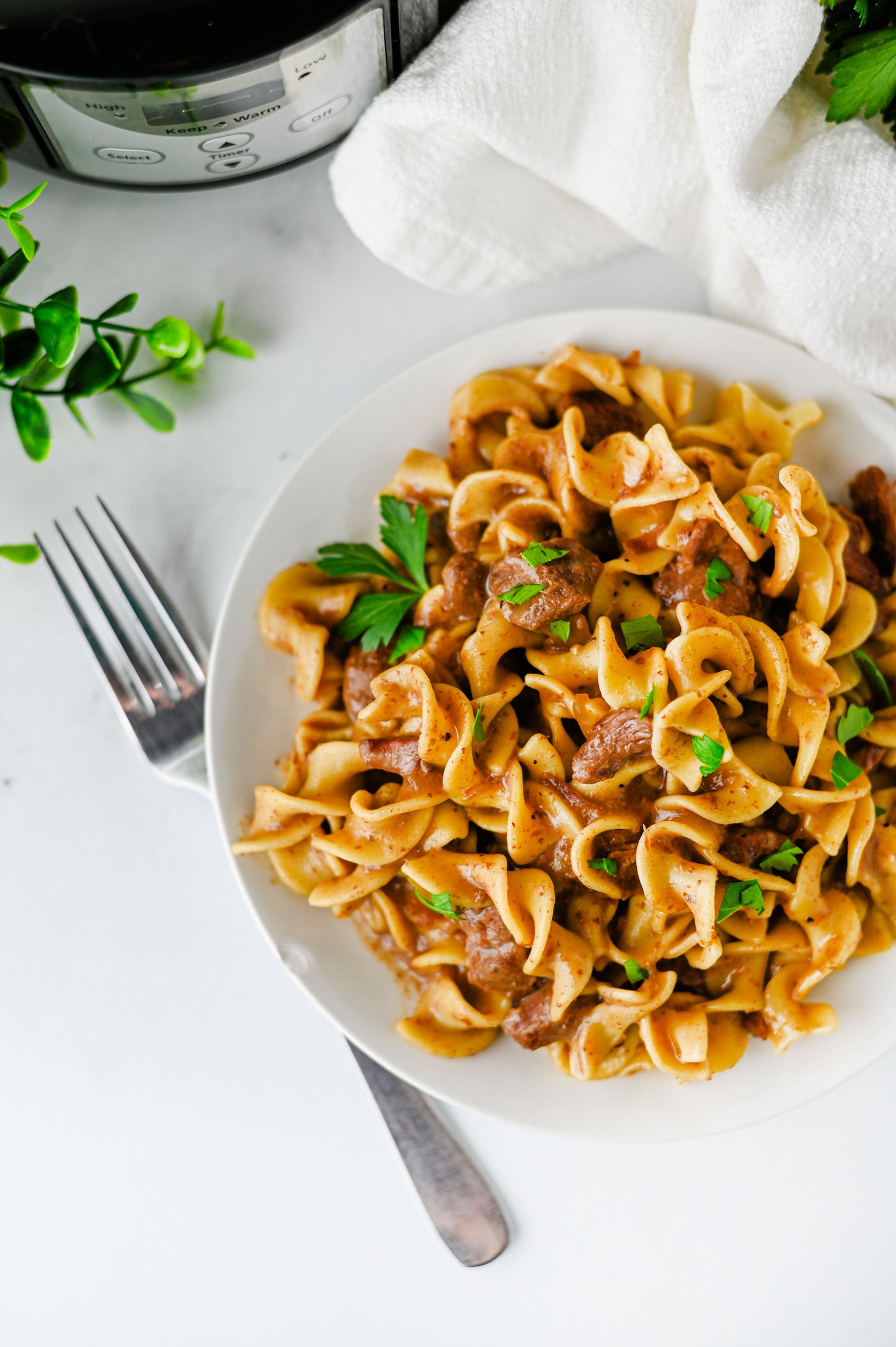 Crock Pot Beef and Noodles Set #3