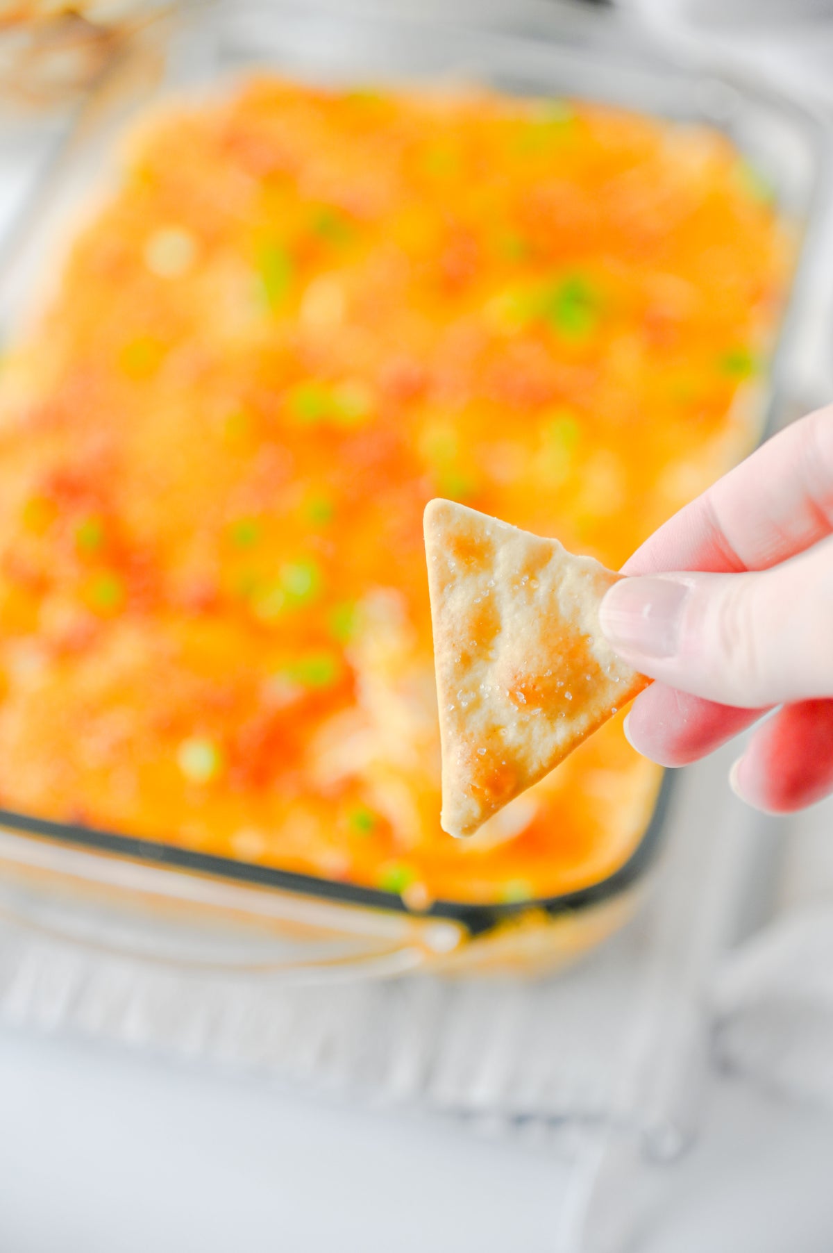 Crack Chicken Dip Set #3