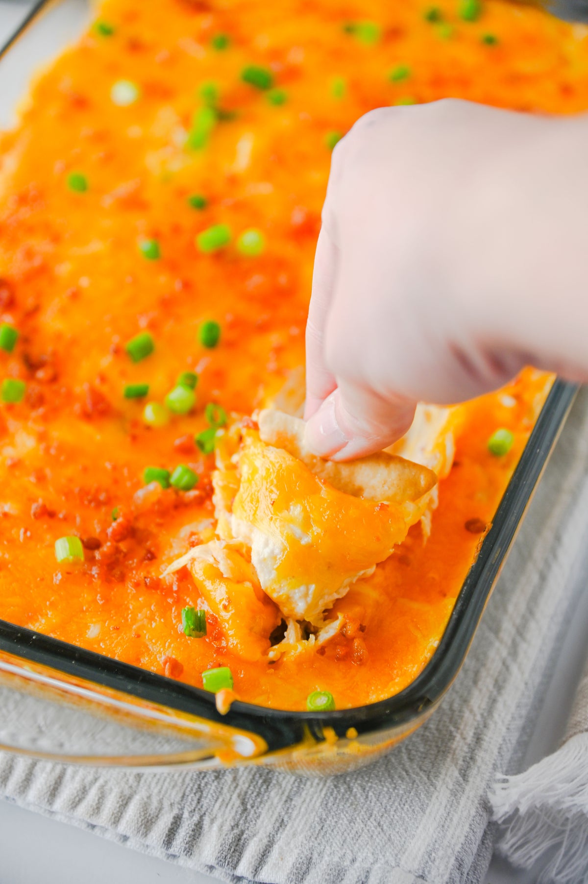 Crack Chicken Dip Set #3