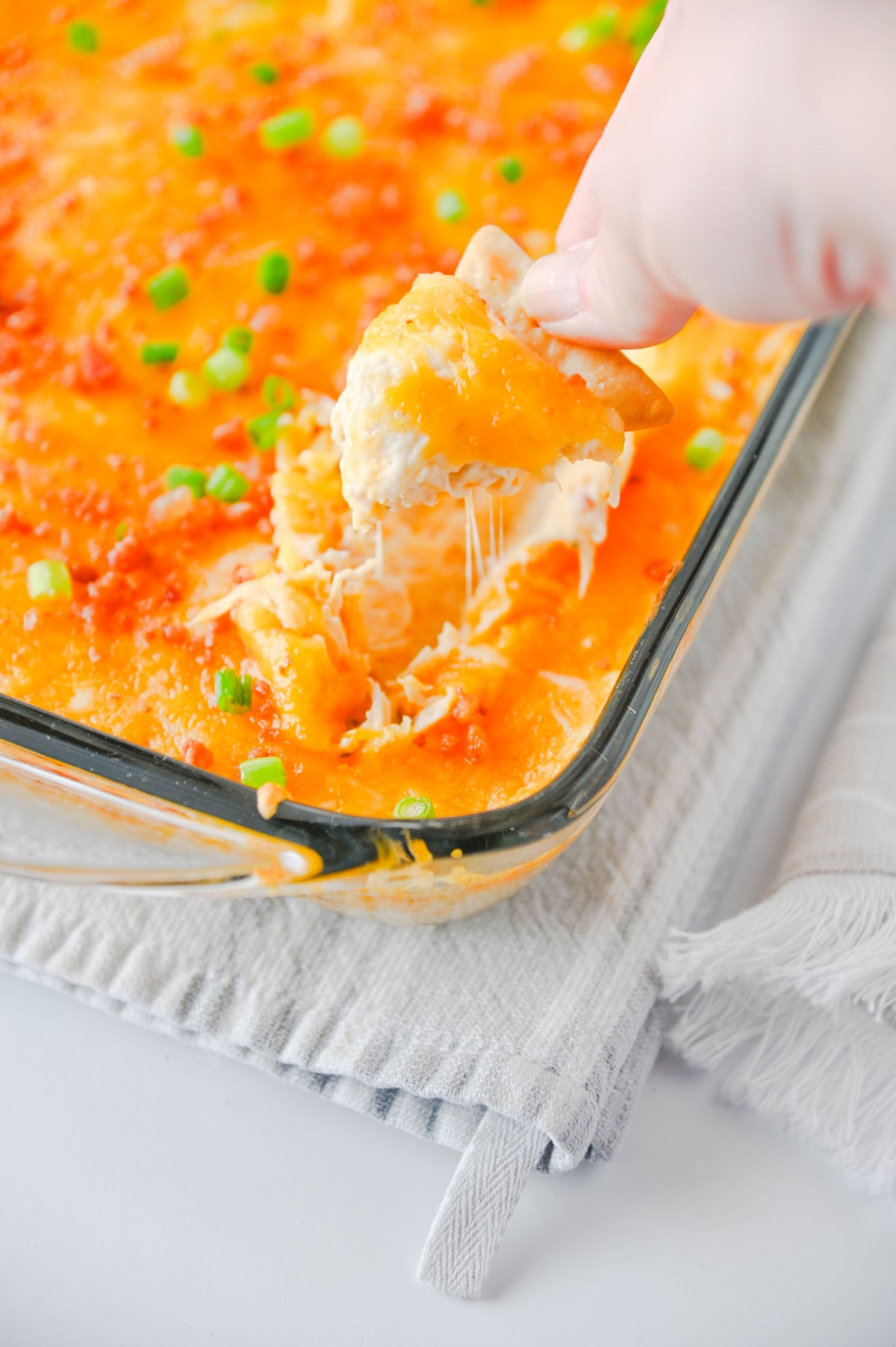 Crack Chicken Dip Set #3
