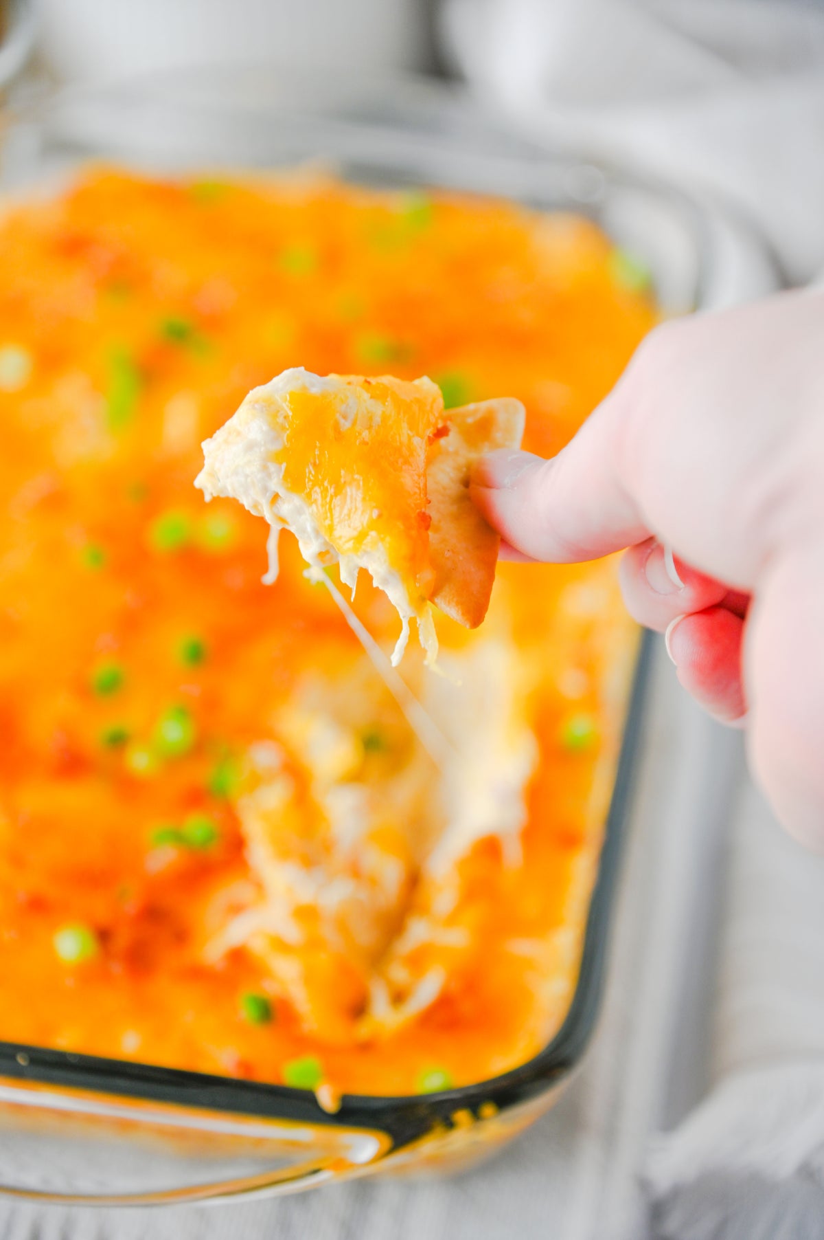 Crack Chicken Dip Set #3