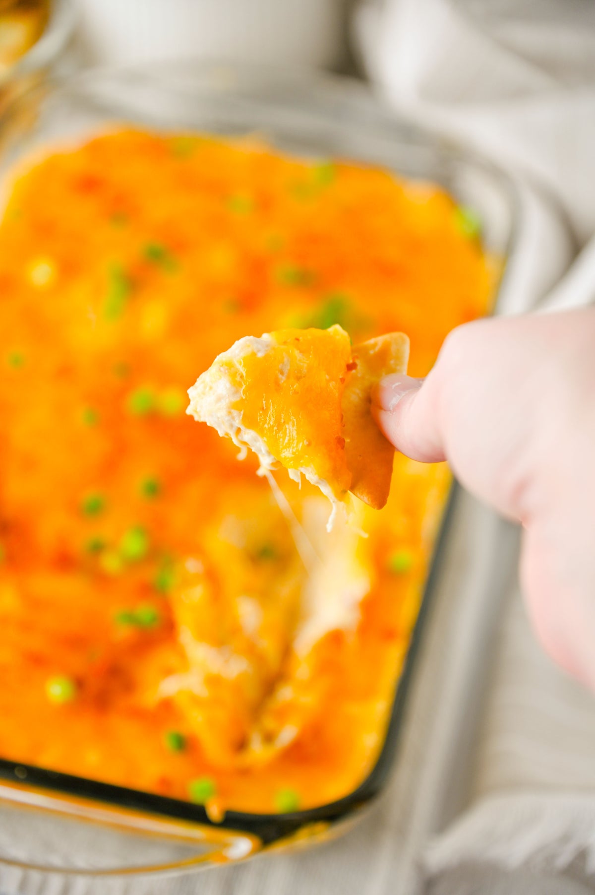 Crack Chicken Dip Set #3