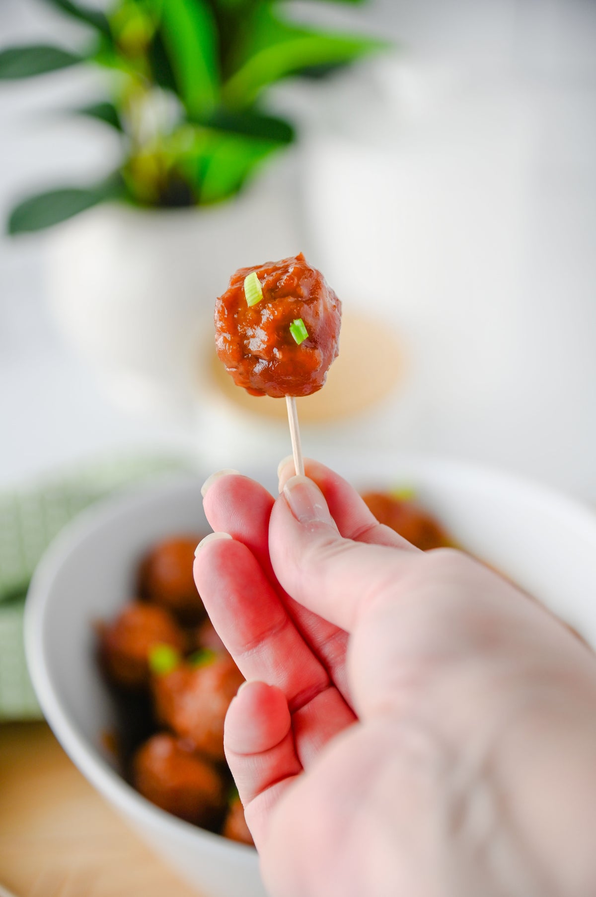 Cranberry Meatballs Set #3
