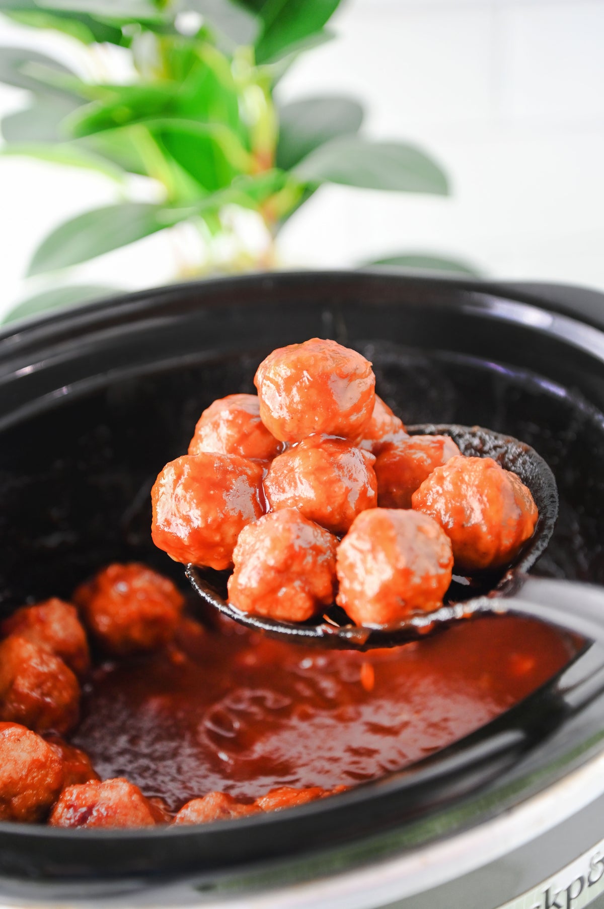 Cranberry Meatballs Set #3