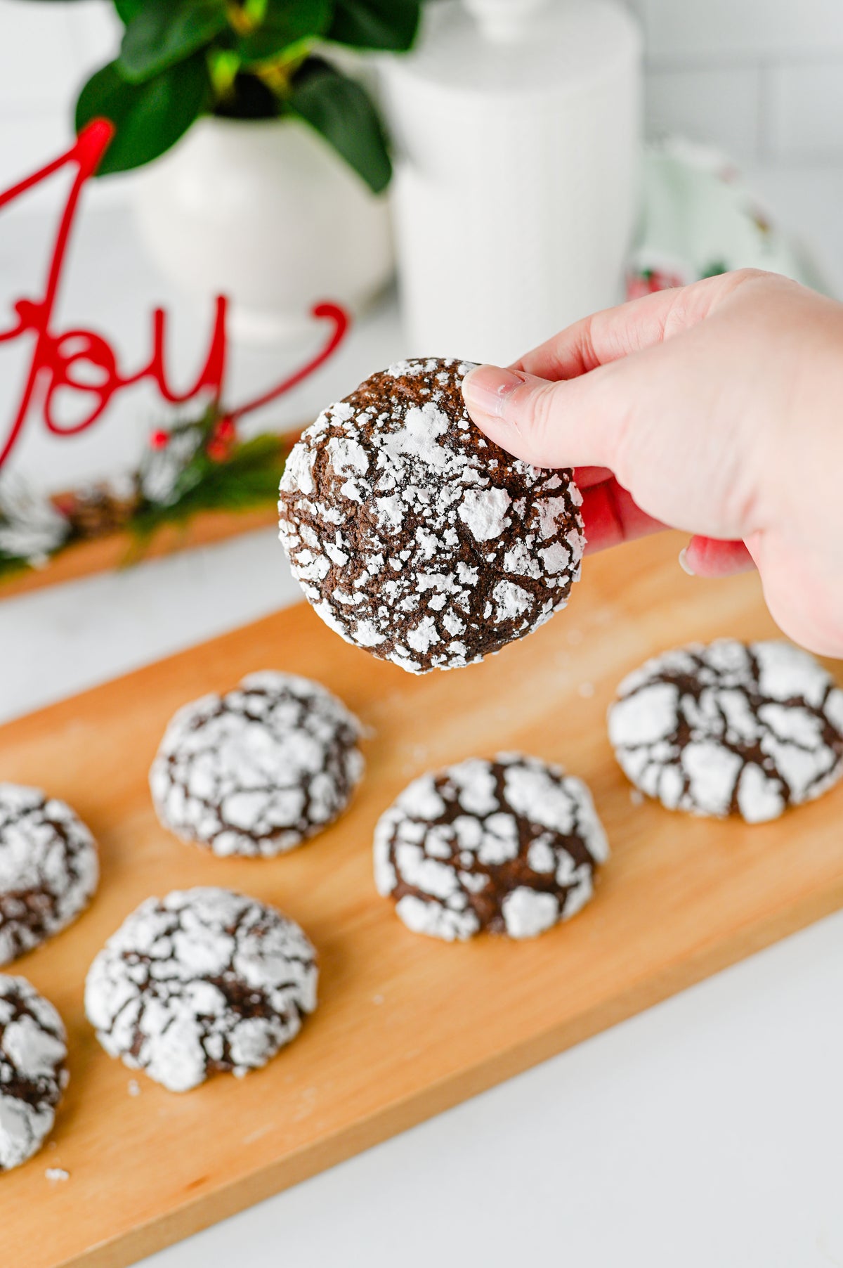 Chocolate Crinkle Cookies Set #3