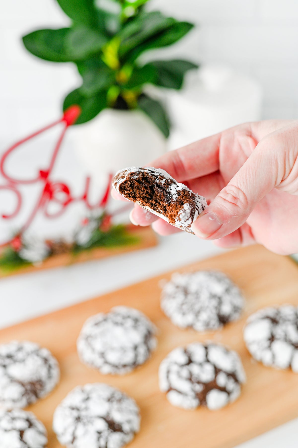 Chocolate Crinkle Cookies Set #3