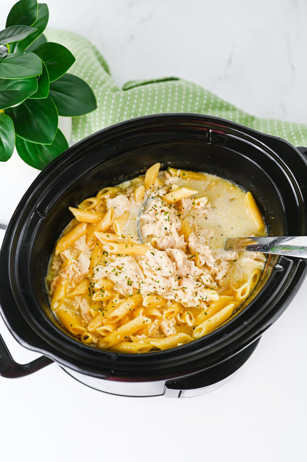 Crock Pot Chicken Alfredo Set #3