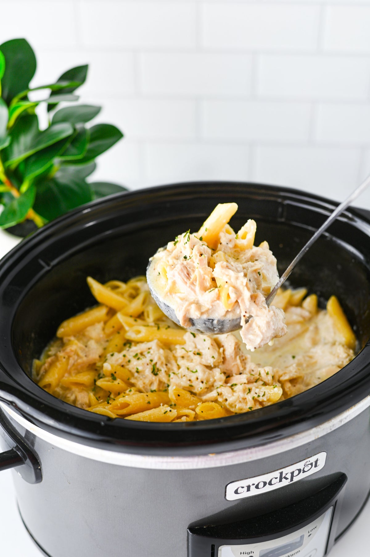 Crock Pot Chicken Alfredo Set #3