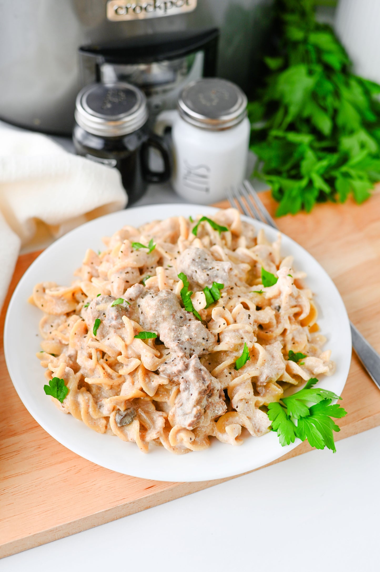 Crock Pot Beef Stroganoff Set #3