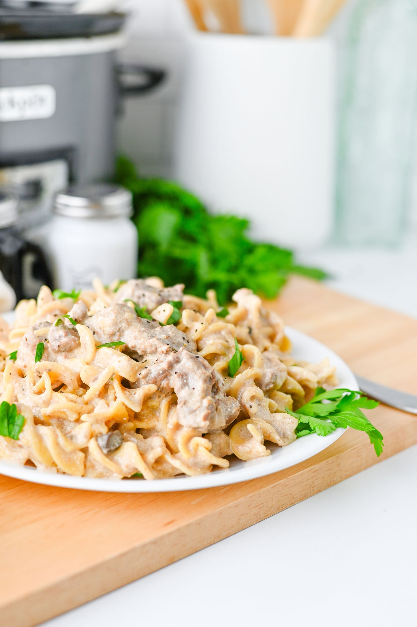 Crock Pot Beef Stroganoff Set #3
