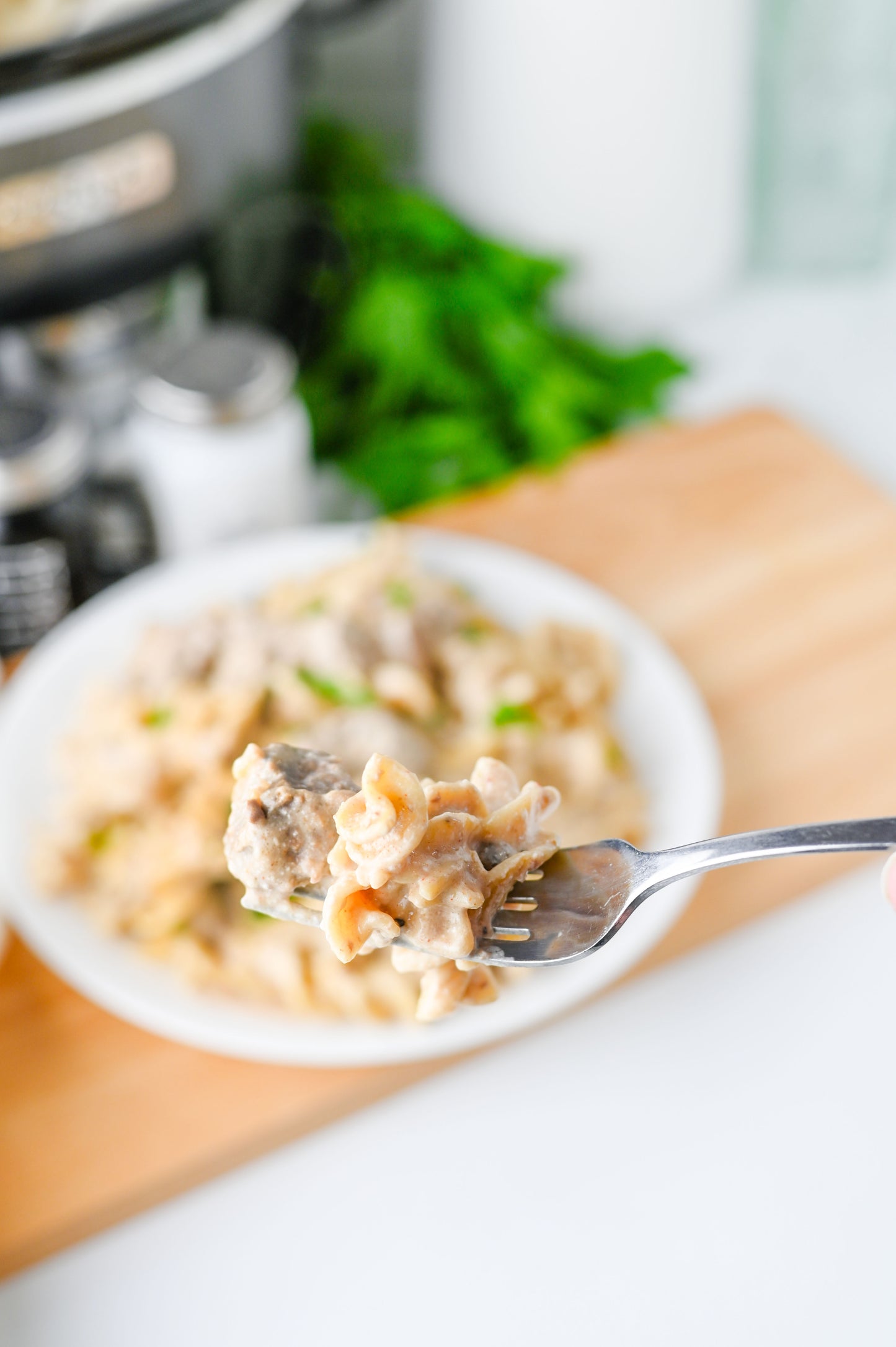 Crock Pot Beef Stroganoff Set #3