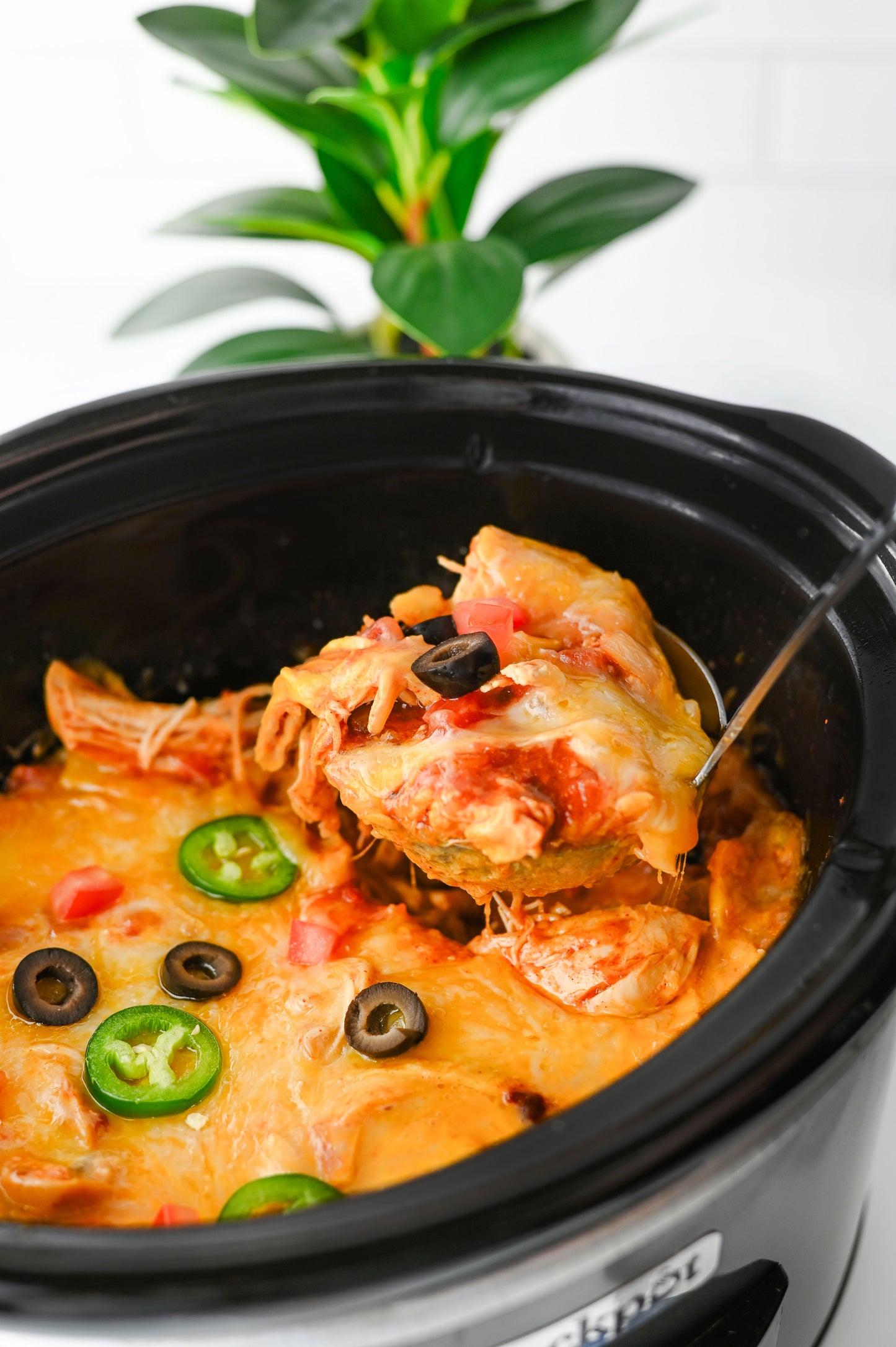 Crock Pot Enchiladas/Enchilada Casserole #3
