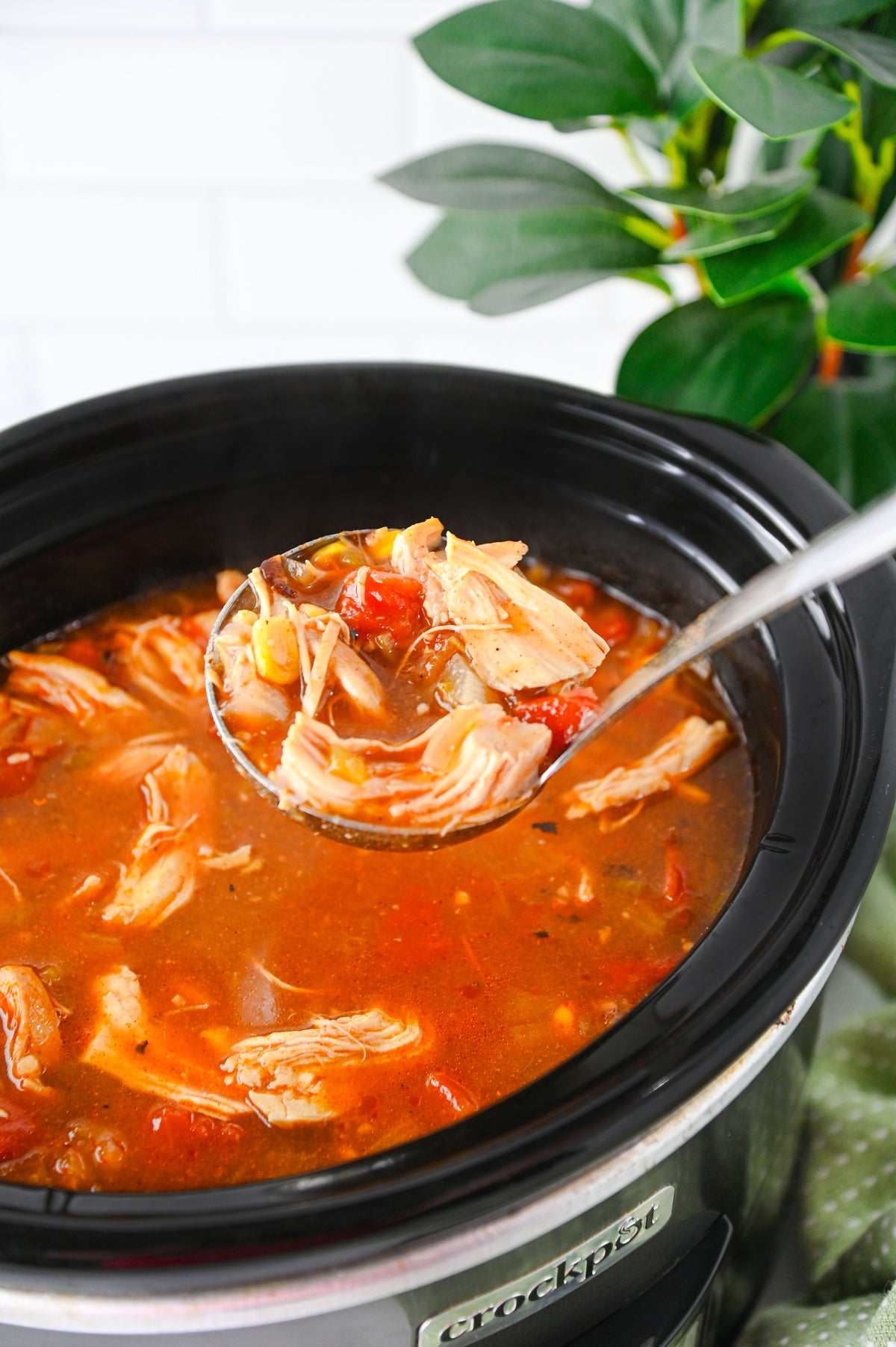 Slow Cooker Enchilada Soup Set #3