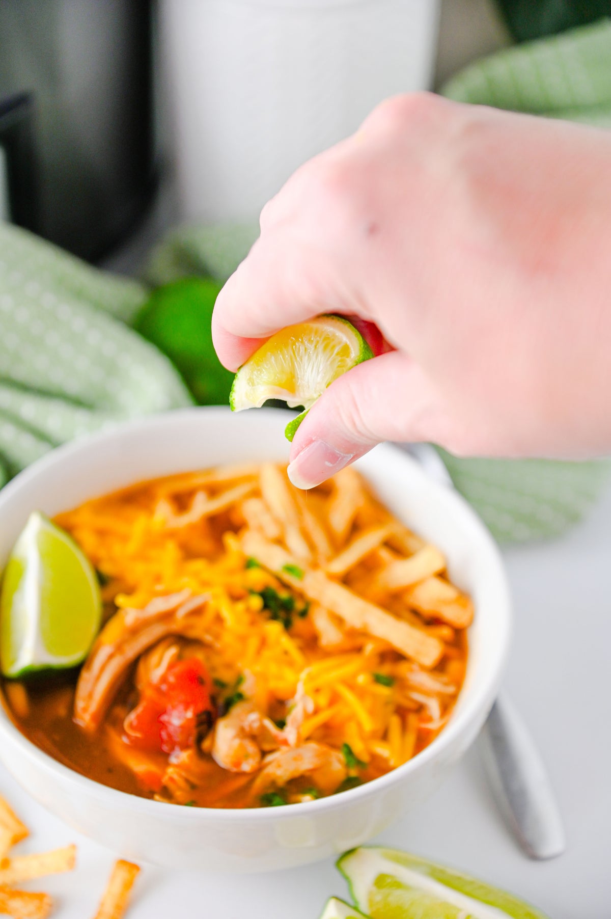 Slow Cooker Enchilada Soup Set #3