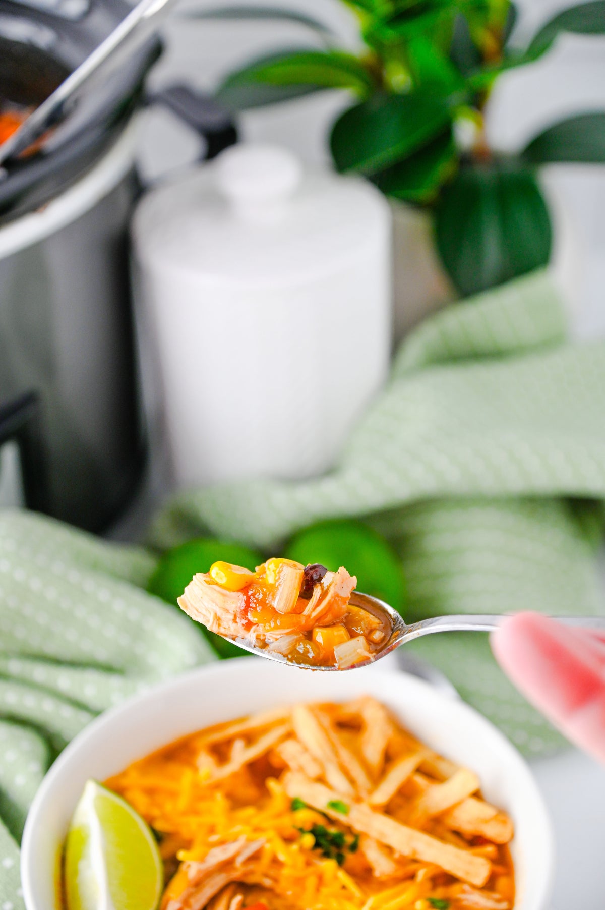 Slow Cooker Enchilada Soup Set #3