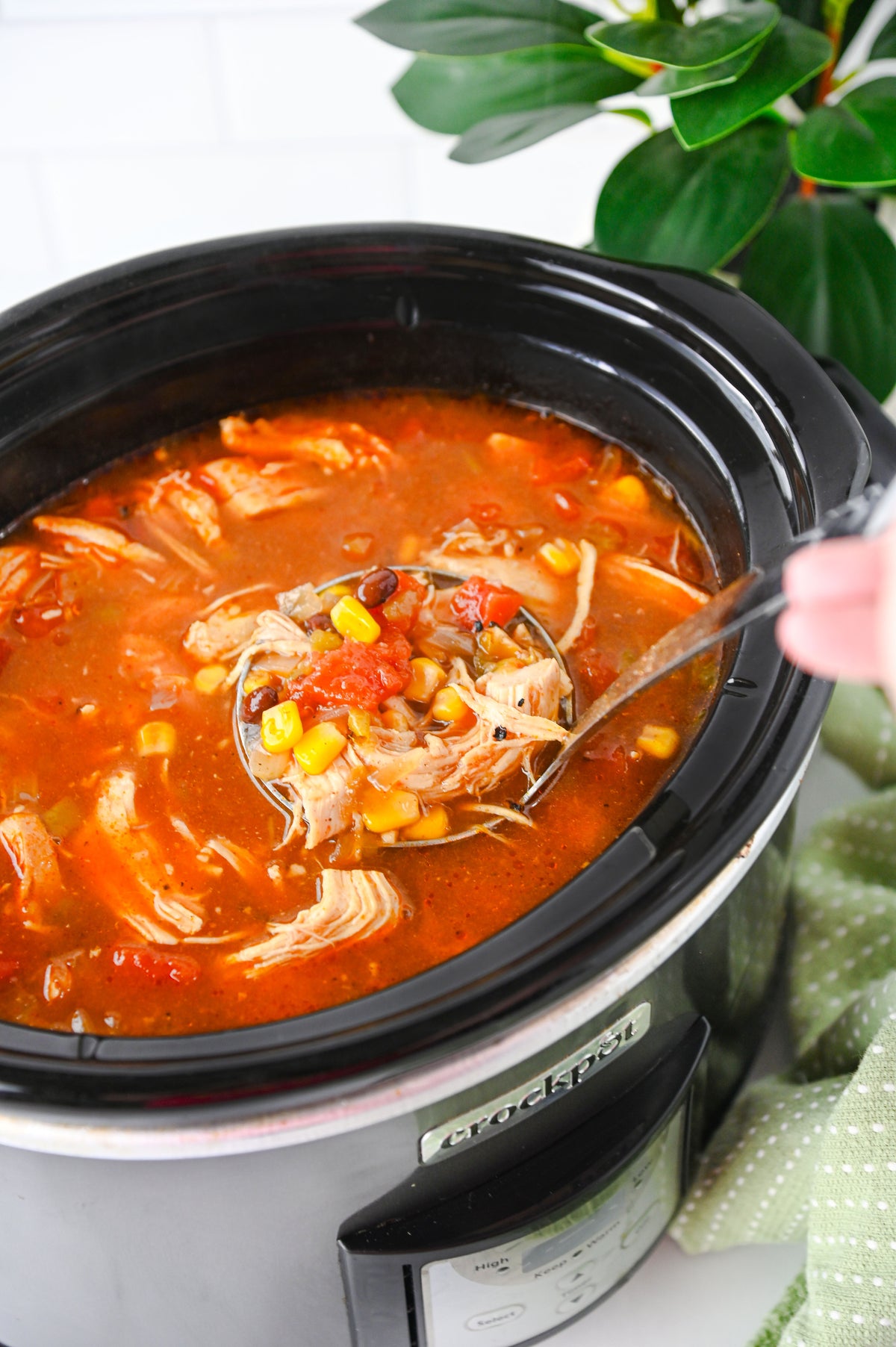 Slow Cooker Enchilada Soup Set #3
