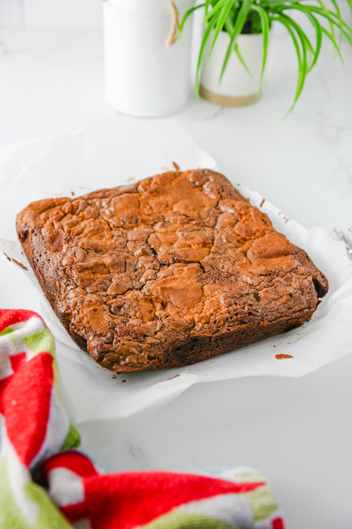 Gingerbread Brownies Set #3