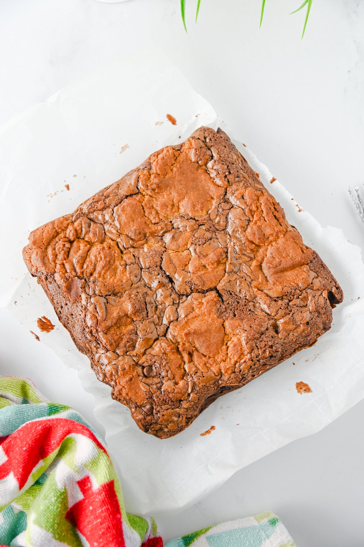 Gingerbread Brownies Set #3
