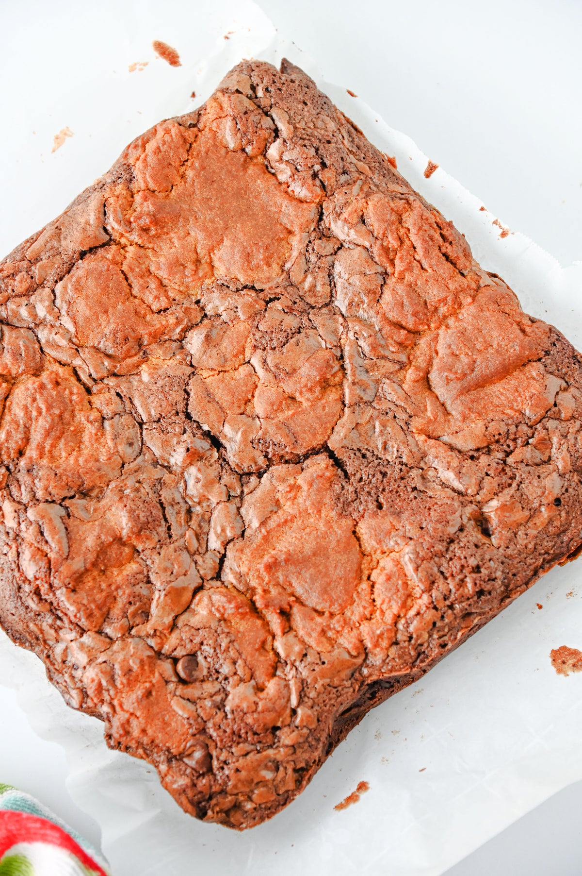 Gingerbread Brownies Set #3