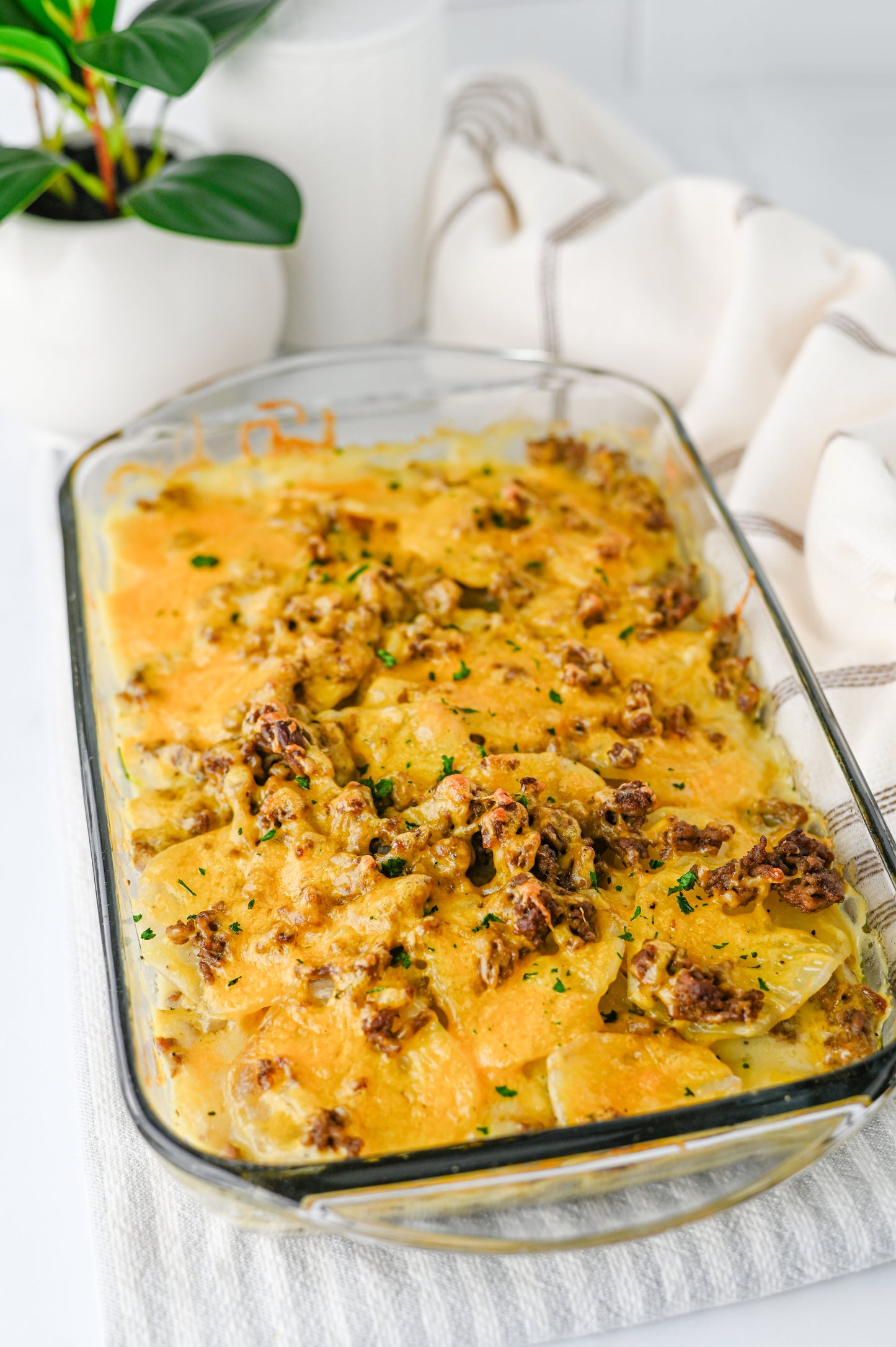 Hamburger Potato Casserole Set #3