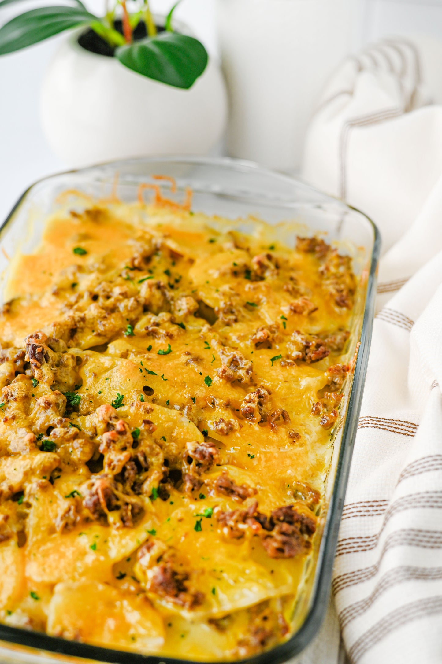 Hamburger Potato Casserole Set #3