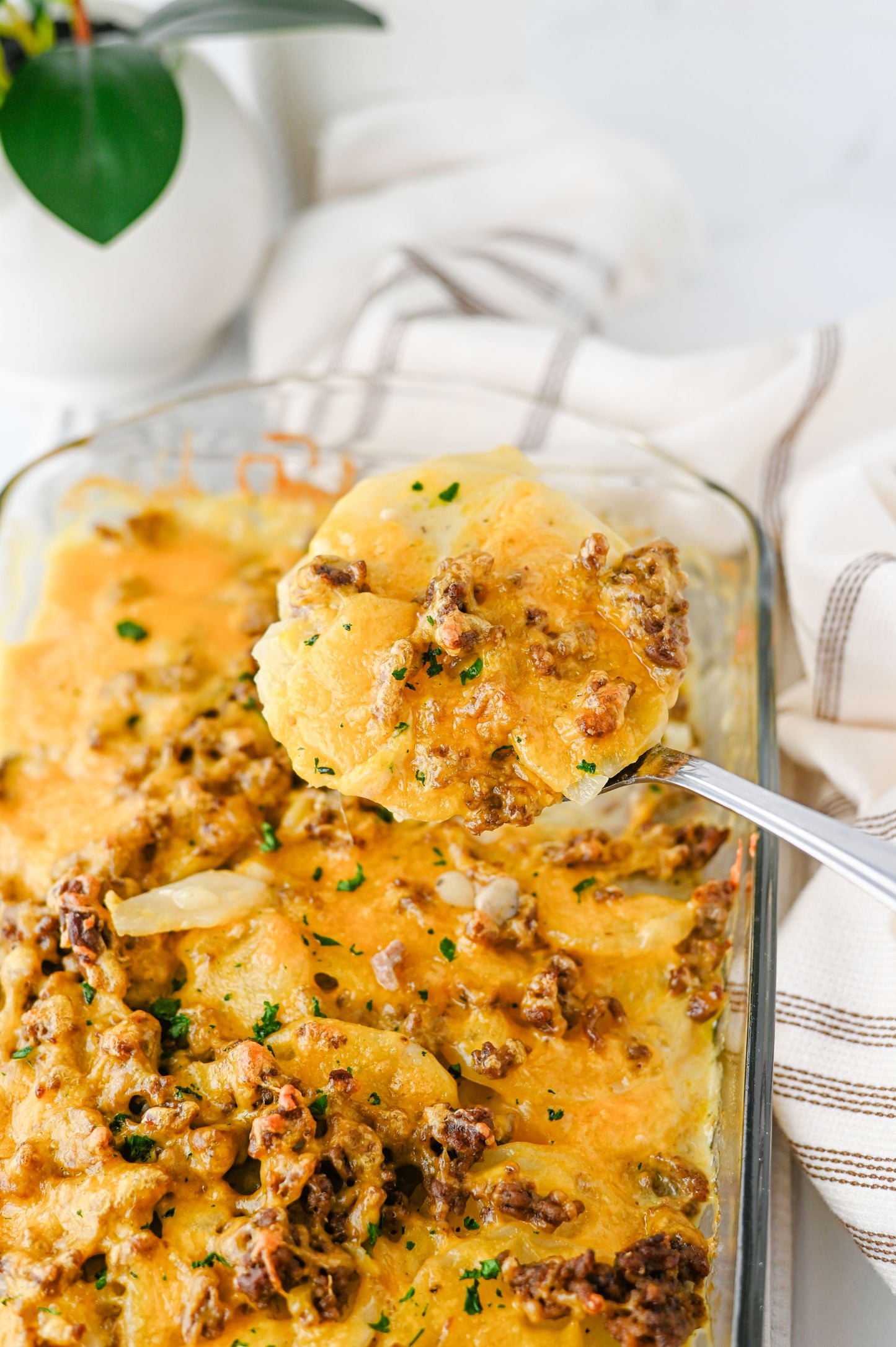 Hamburger Potato Casserole Set #3