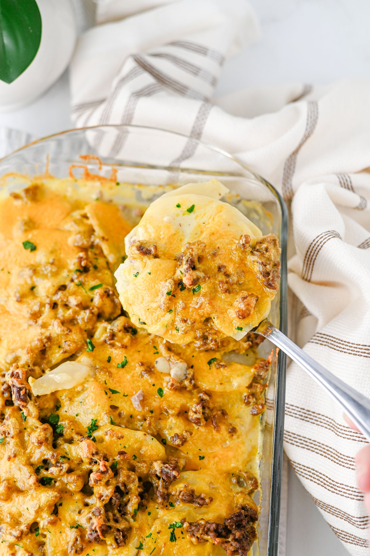Hamburger Potato Casserole Set #3