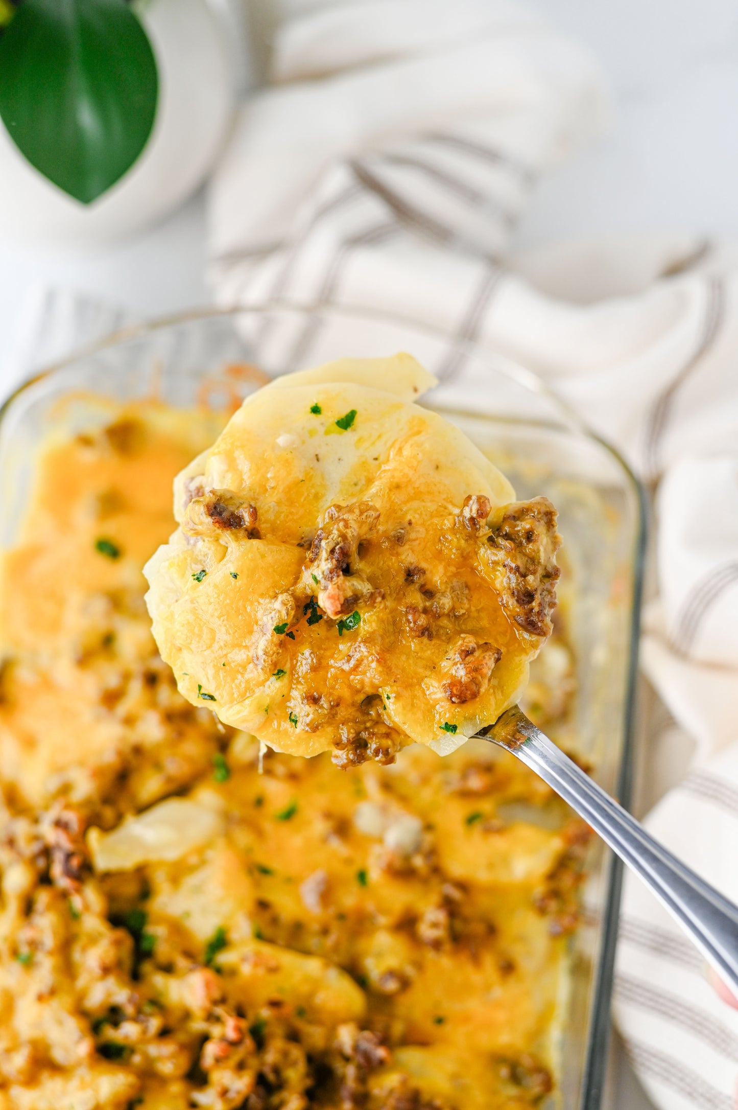 Hamburger Potato Casserole Set #3