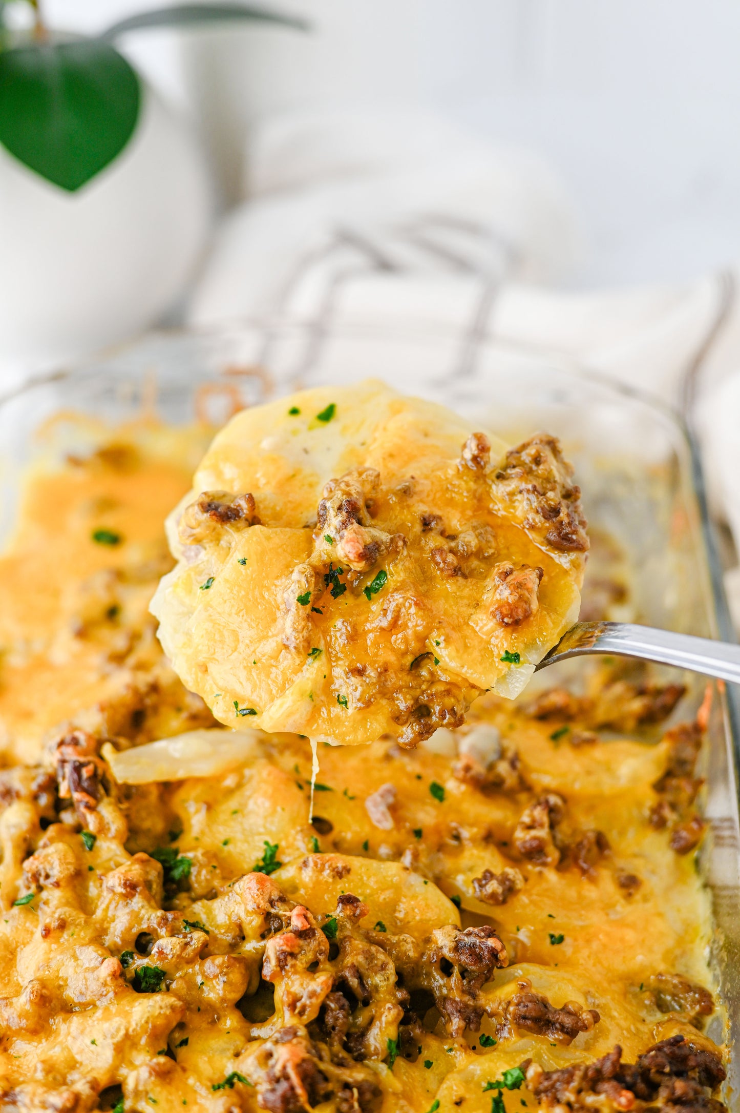Hamburger Potato Casserole Set #3