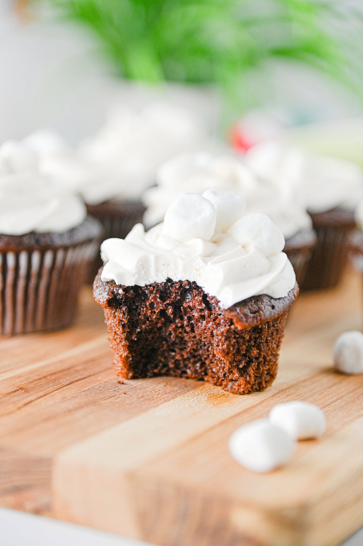 Hot Chocolate Cupcakes Set #3