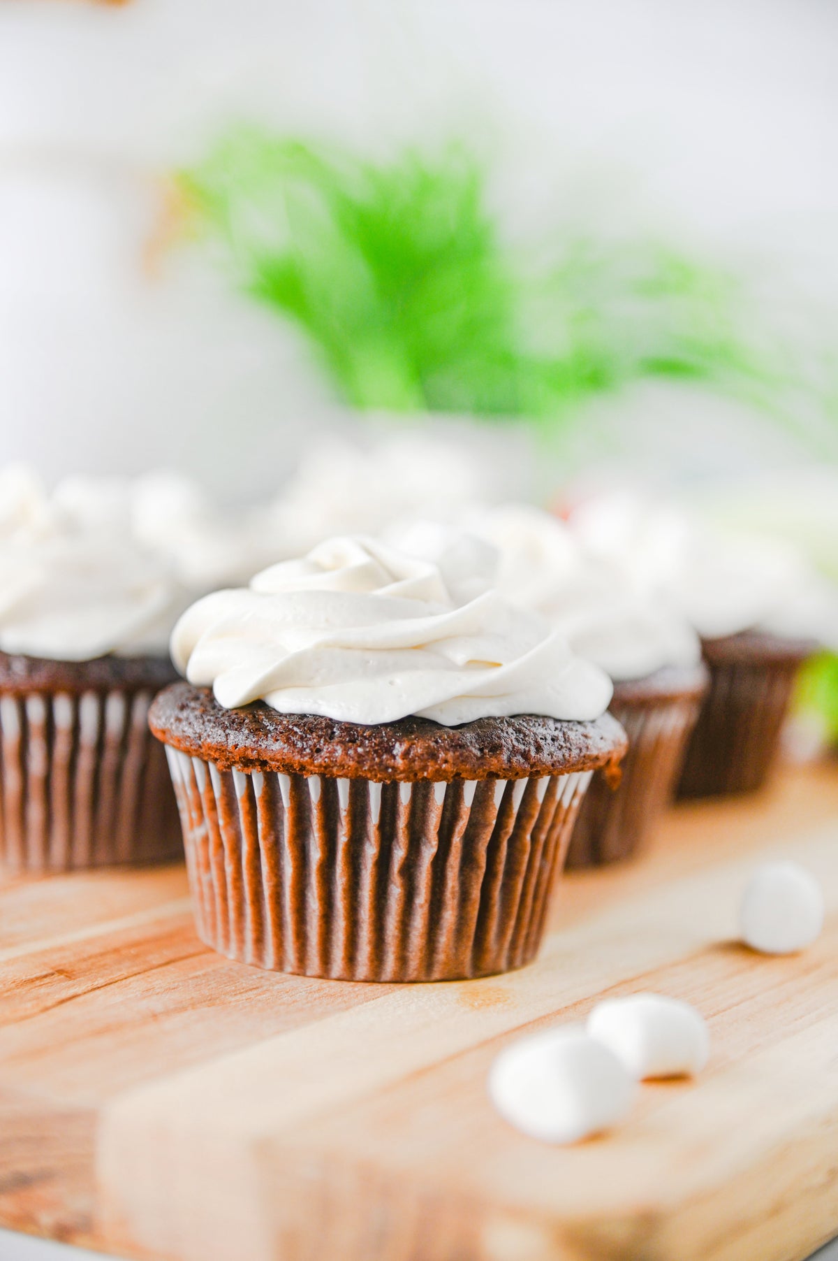 Hot Chocolate Cupcakes Set #3