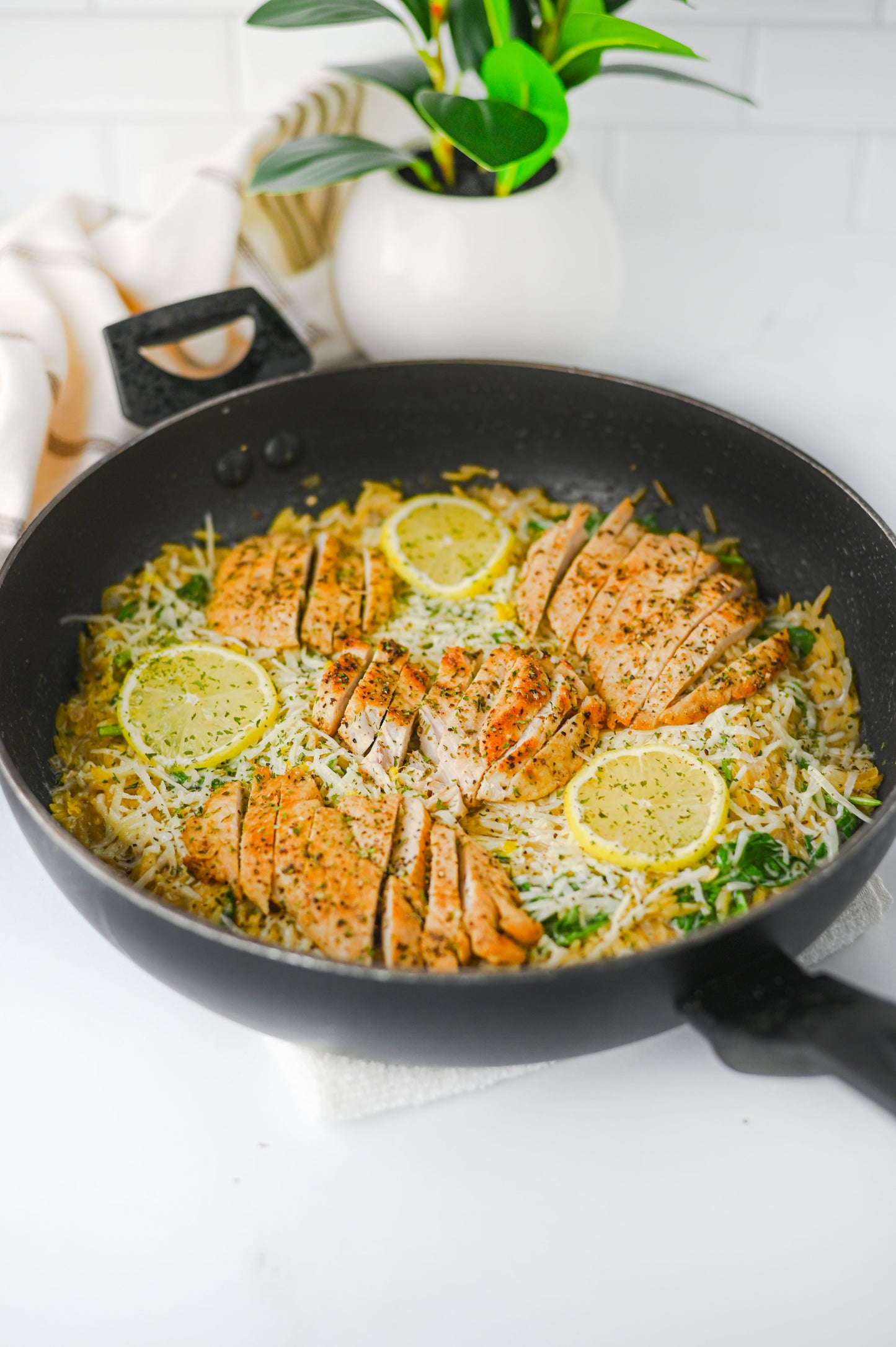 Lemon Chicken Orzo Set #3