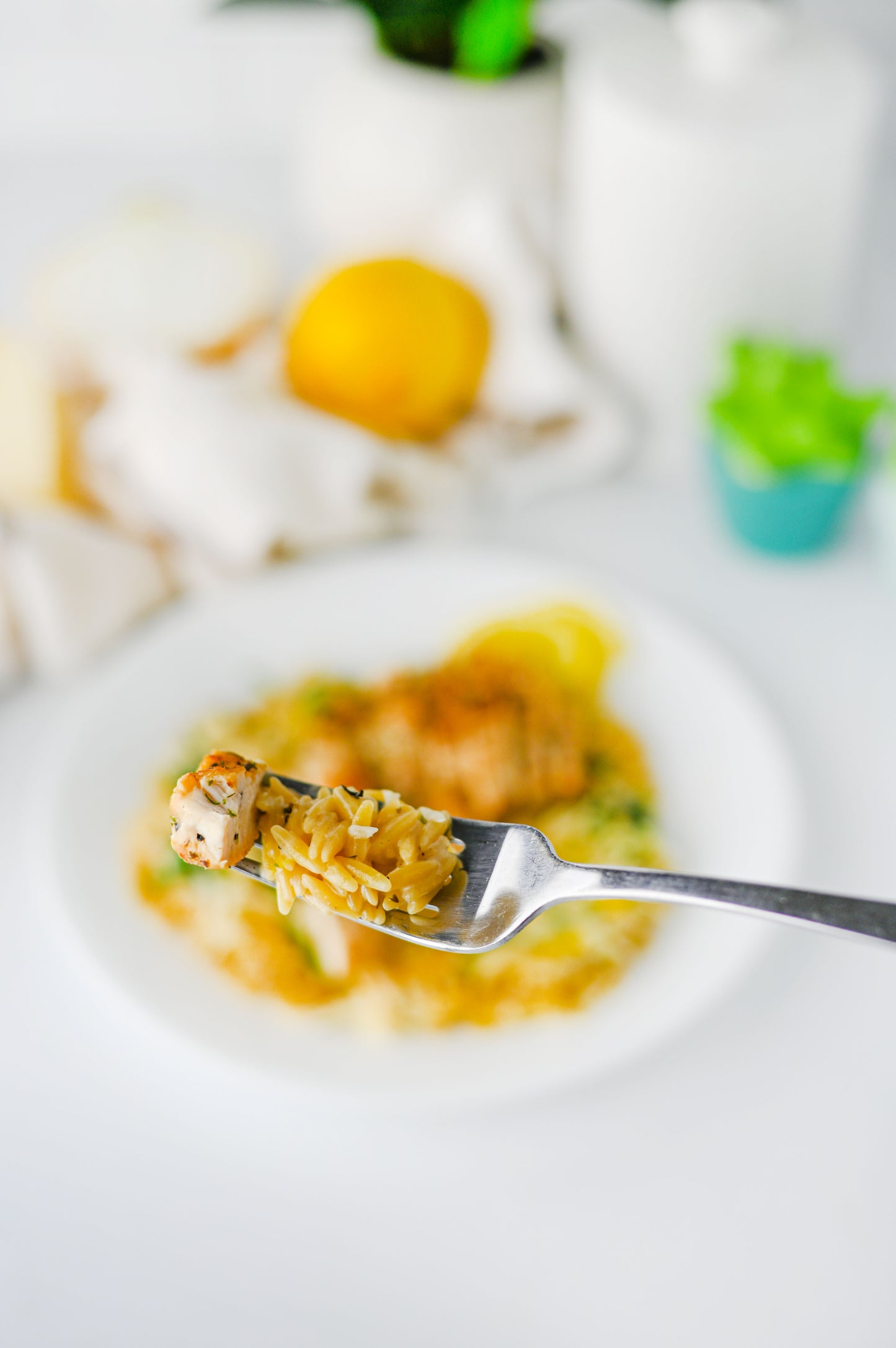 Lemon Chicken Orzo Set #3