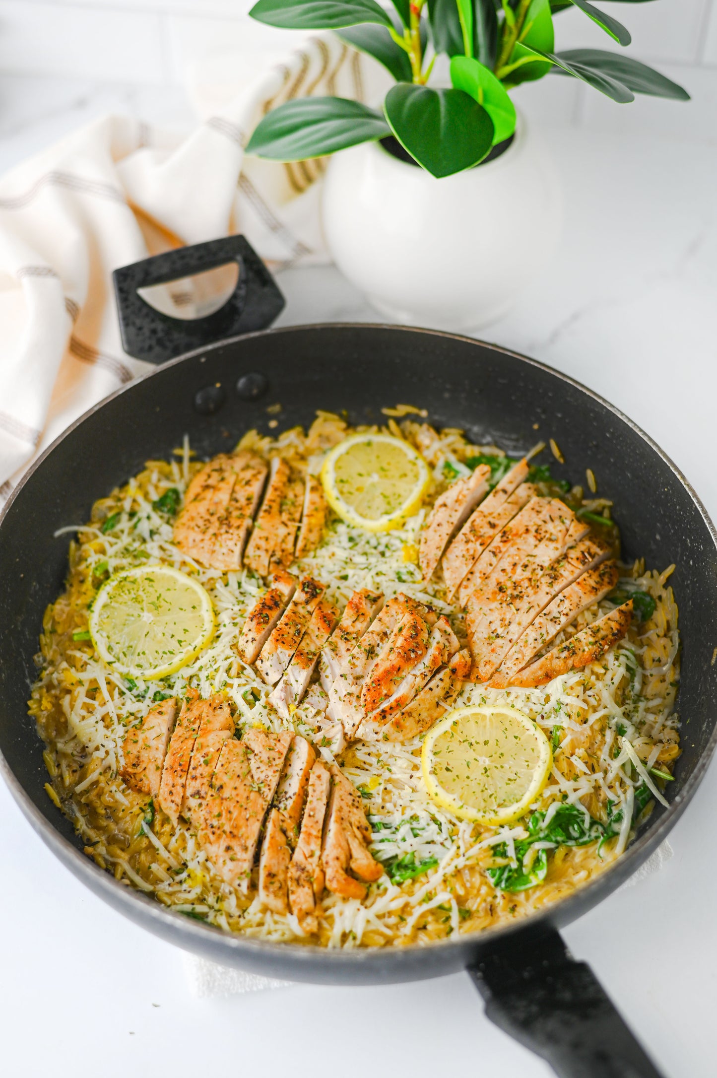 Lemon Chicken Orzo Set #3
