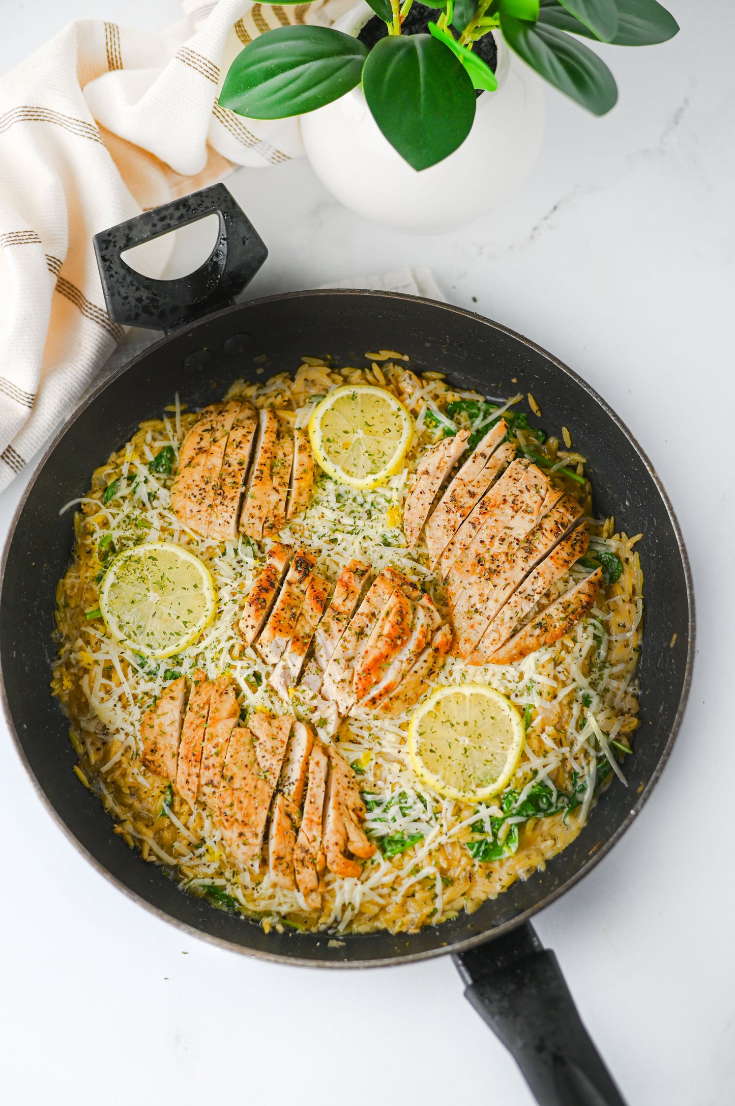 Lemon Chicken Orzo Set #3